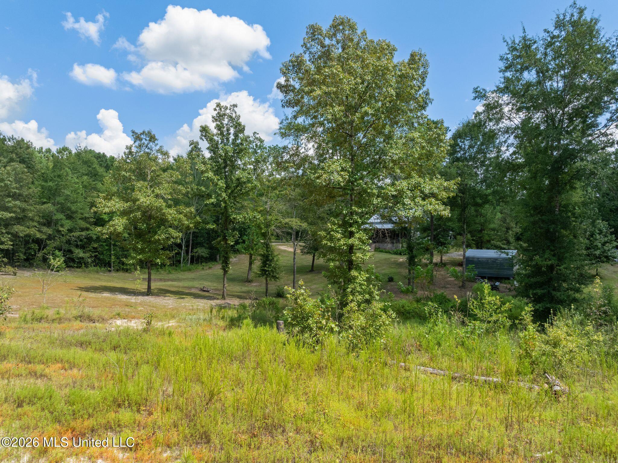 109 B Lowe Lane Property Photo 49