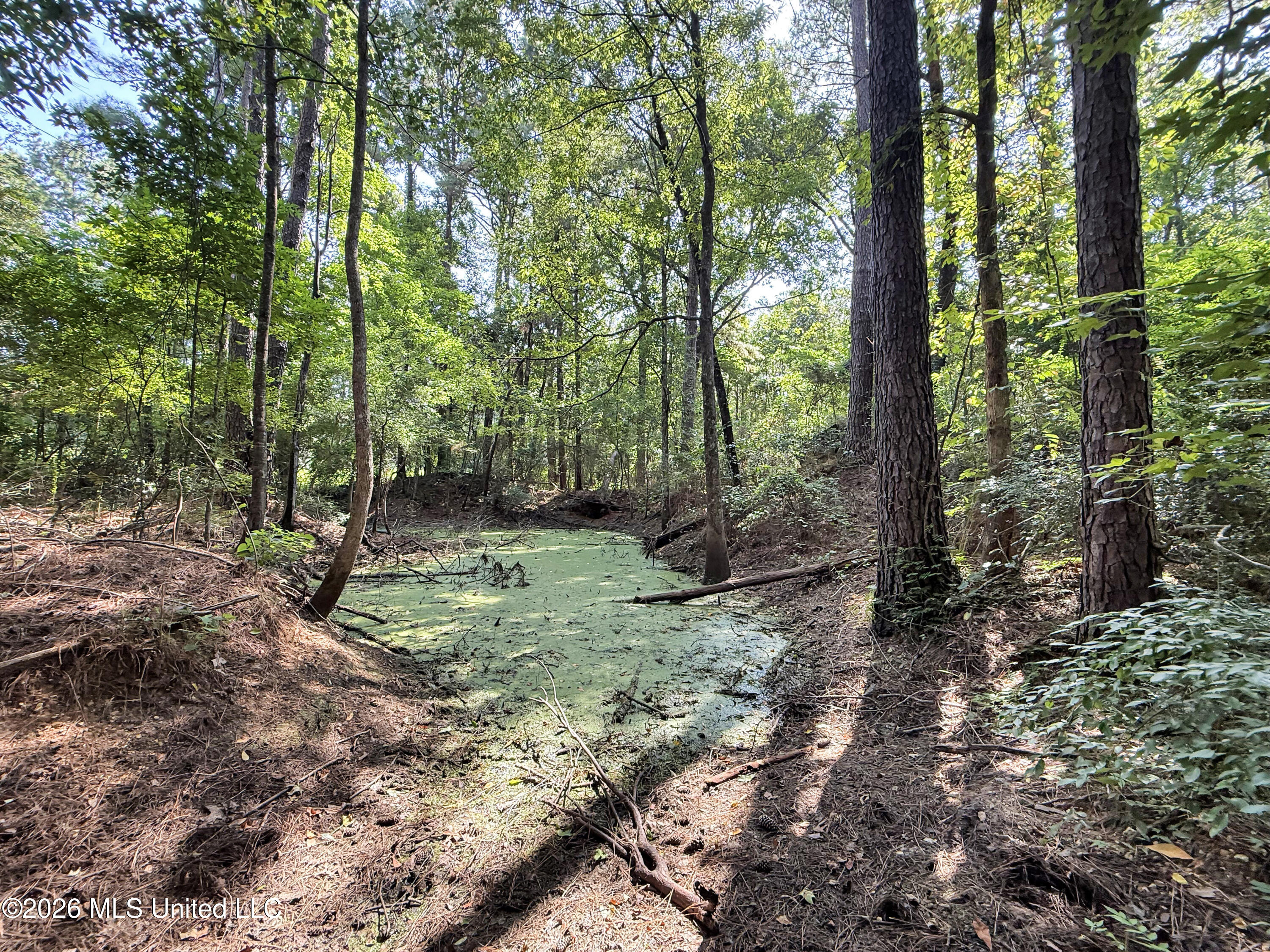 2435 Brignall Road Property Photo 2