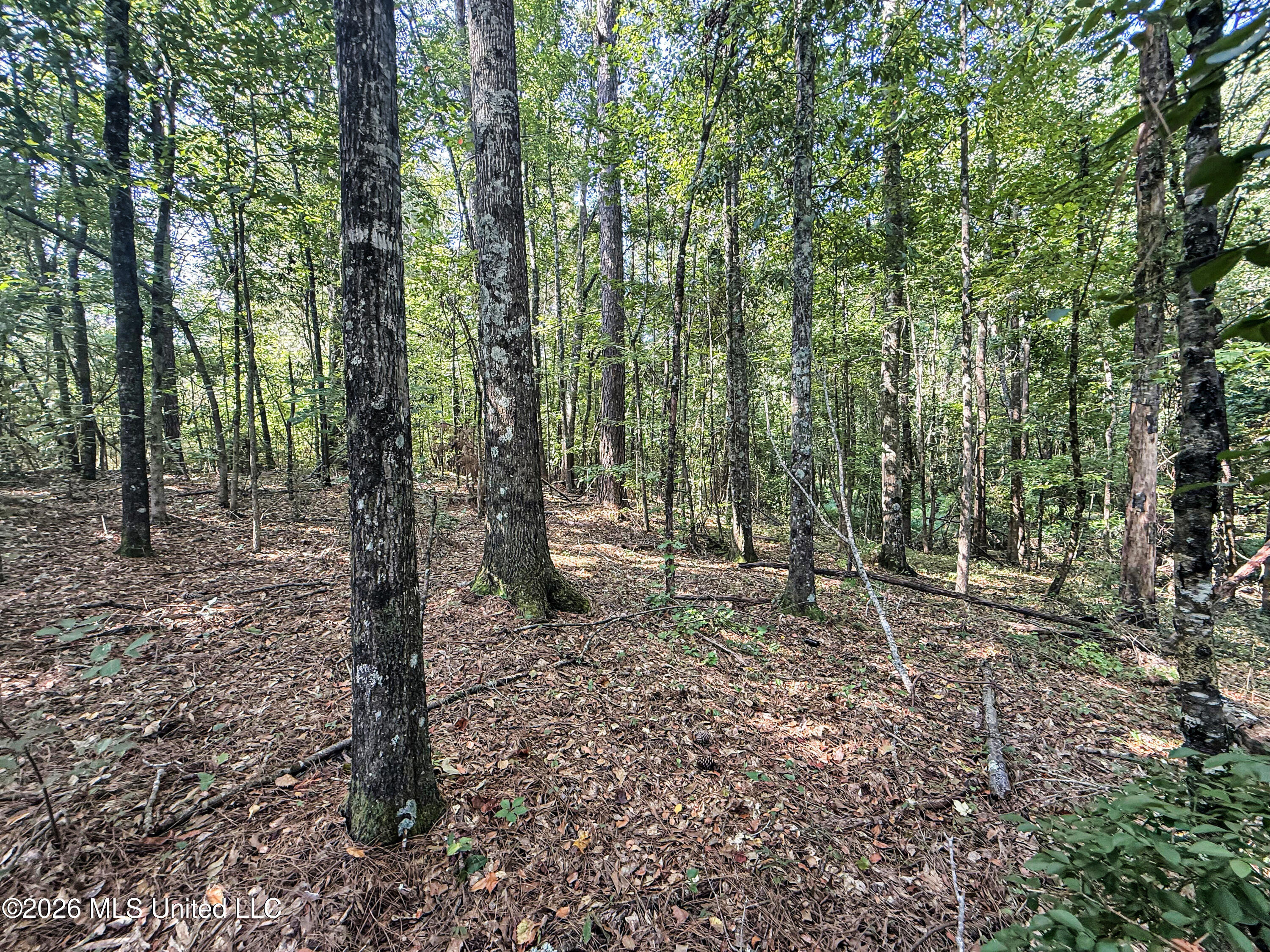 2435 Brignall Road Property Photo 8