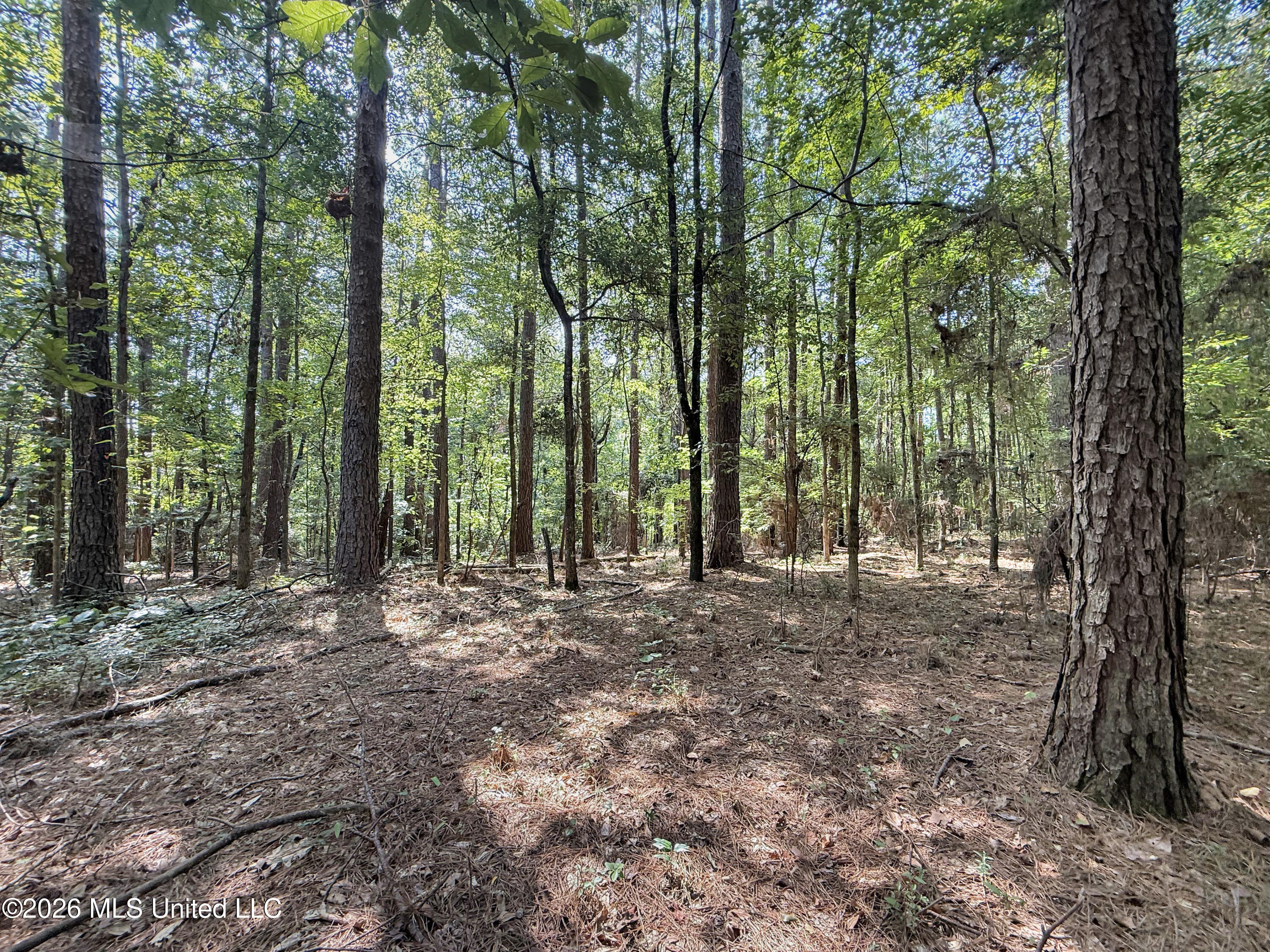 2435 Brignall Road Property Photo 9