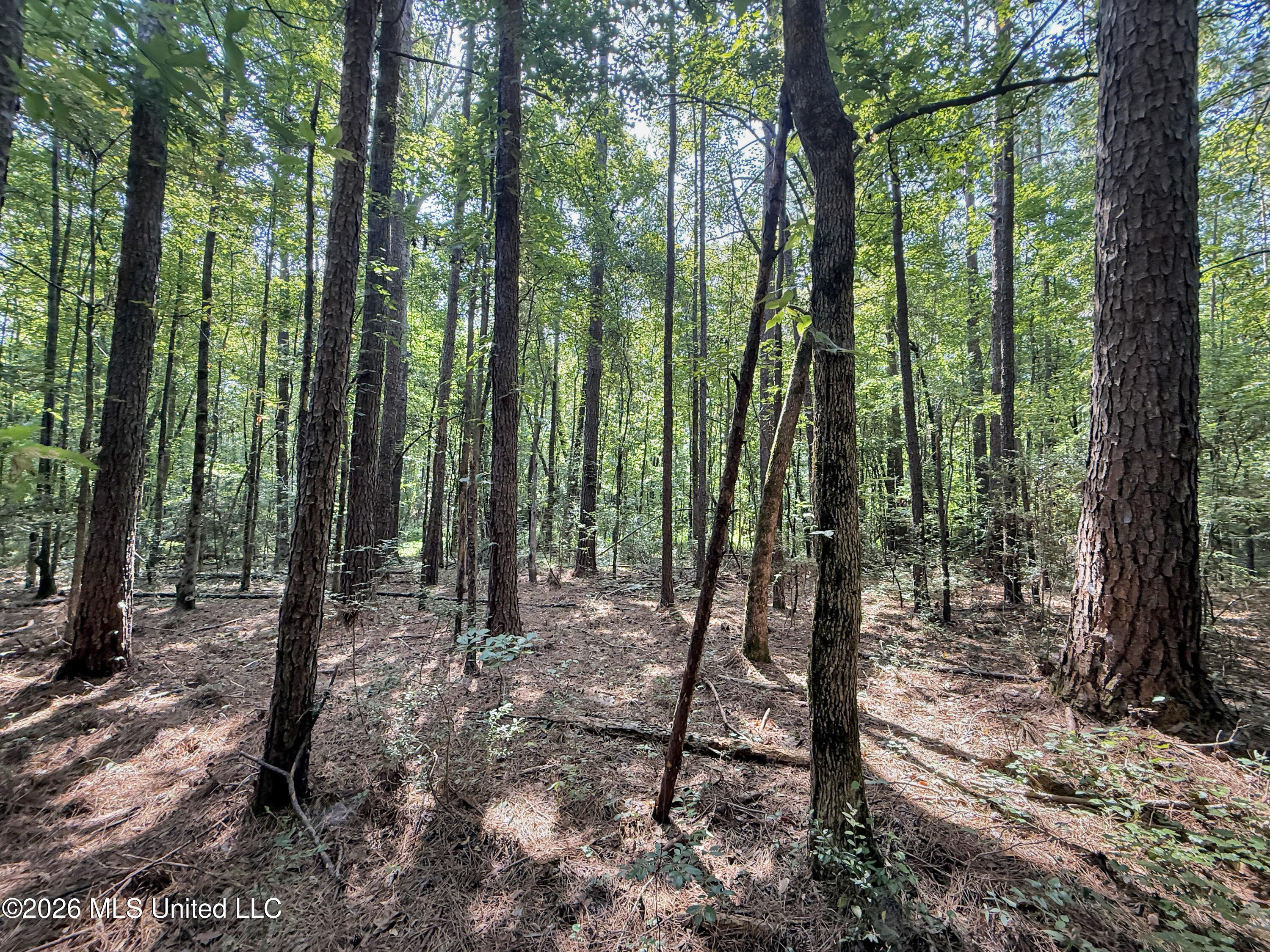2435 Brignall Road Property Photo 10
