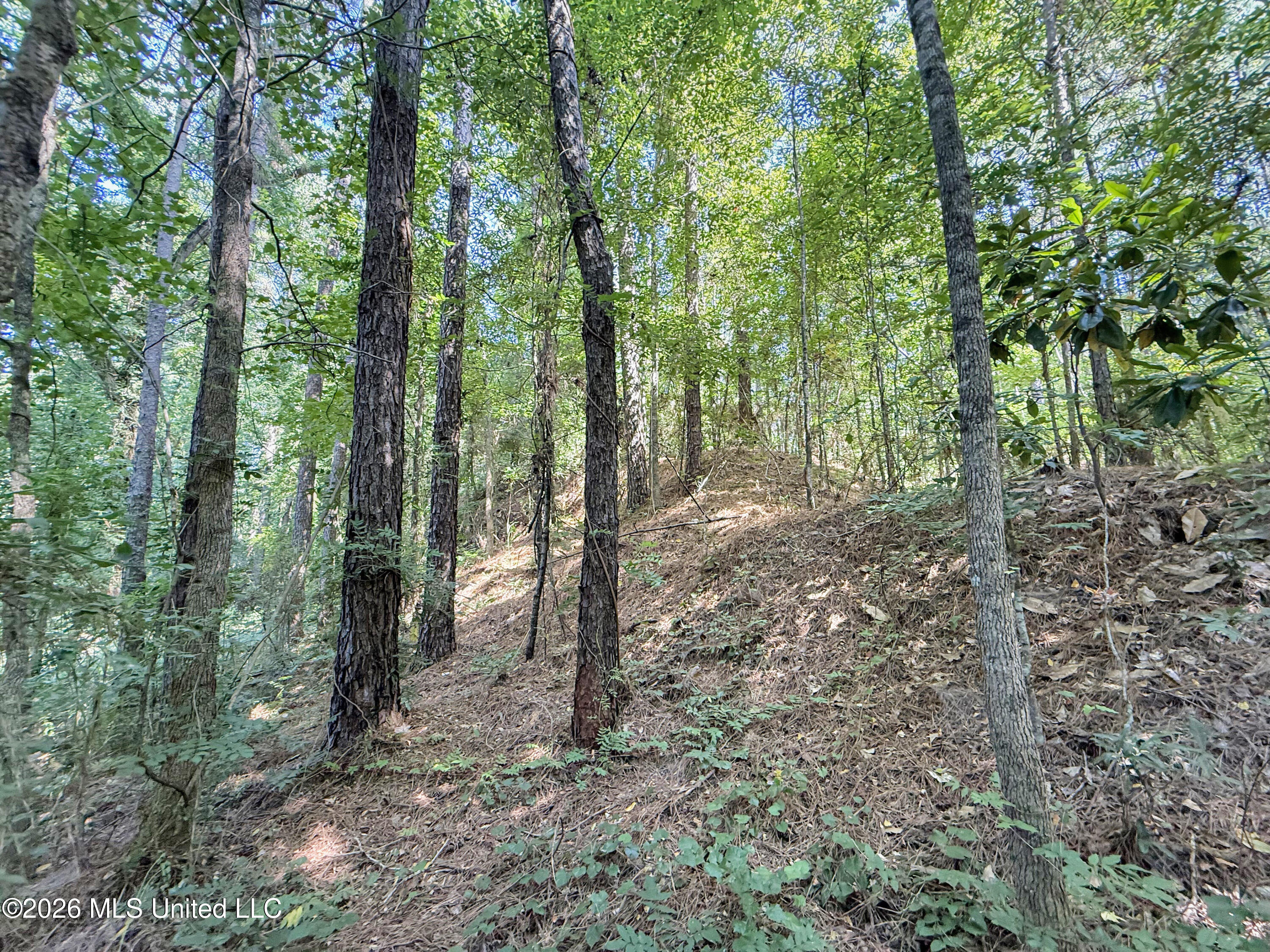 2435 Brignall Road Property Photo 11