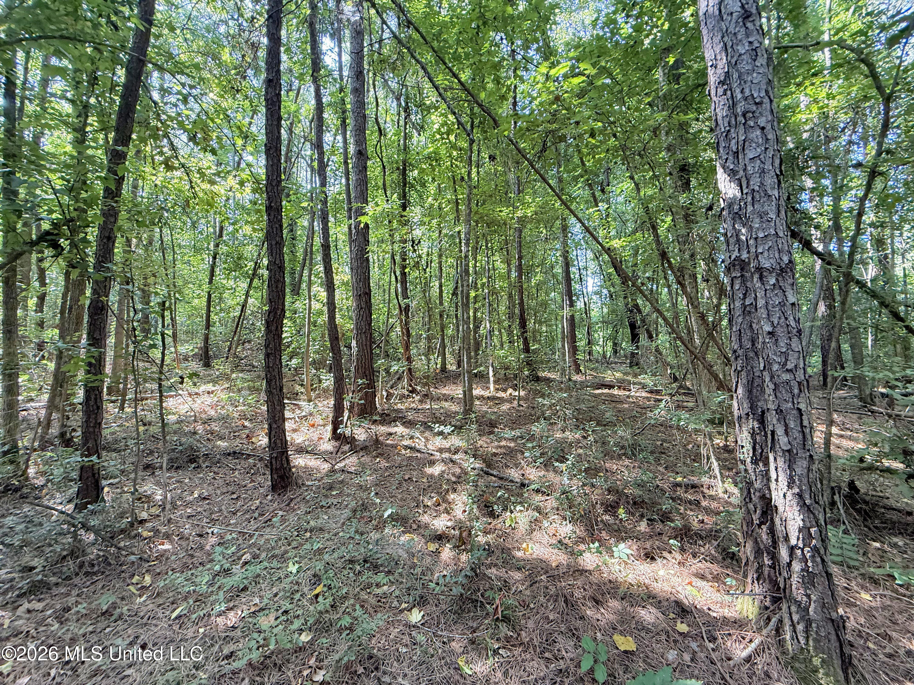 2435 Brignall Road Property Photo 12