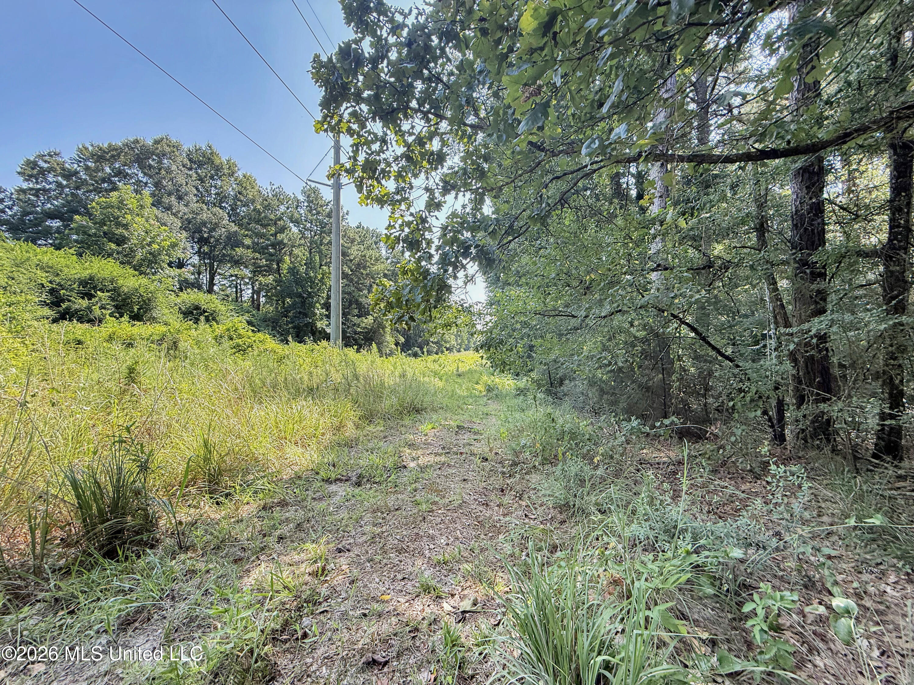 2435 Brignall Road Property Photo 14