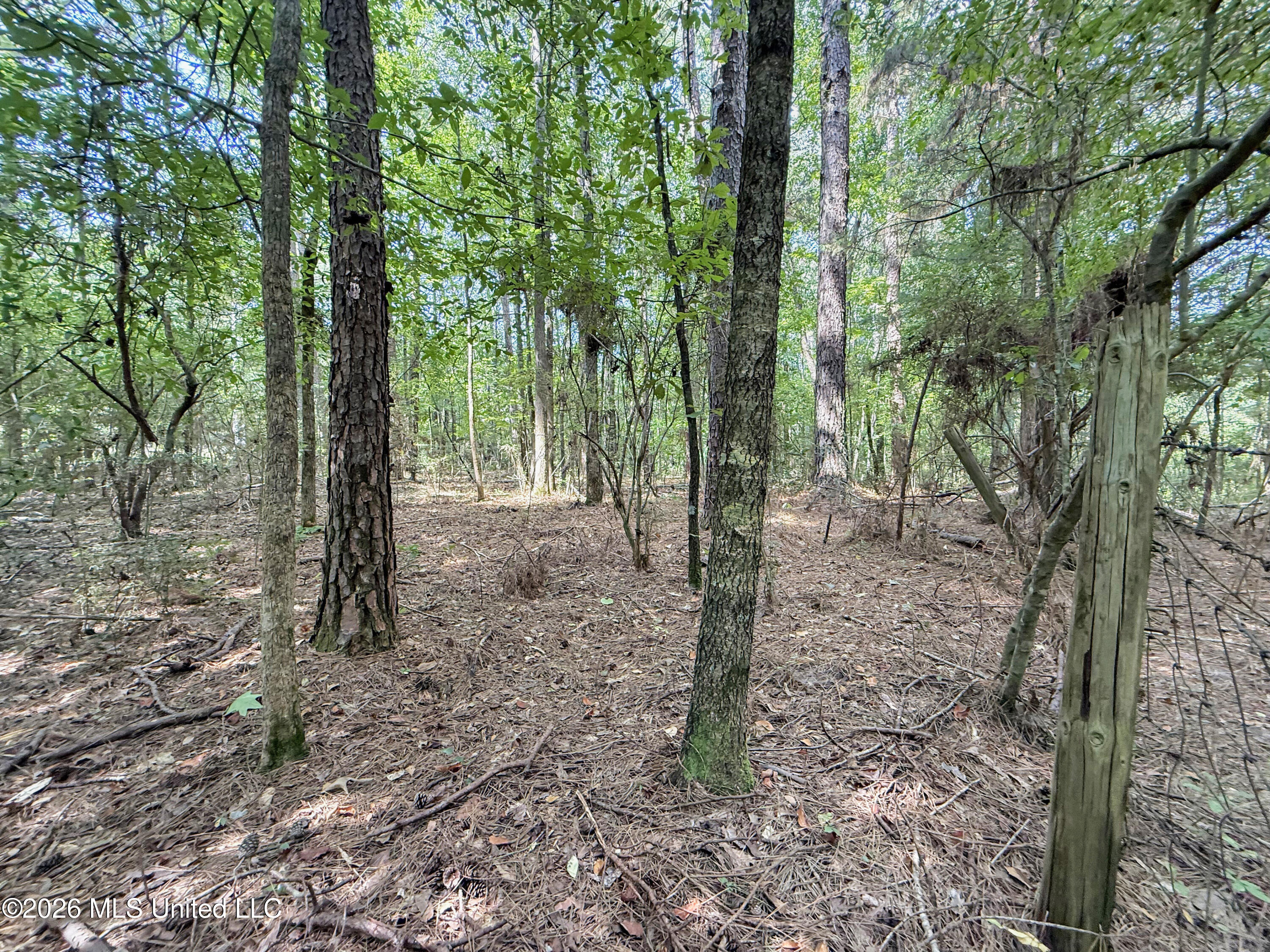 2435 Brignall Road Property Photo 15