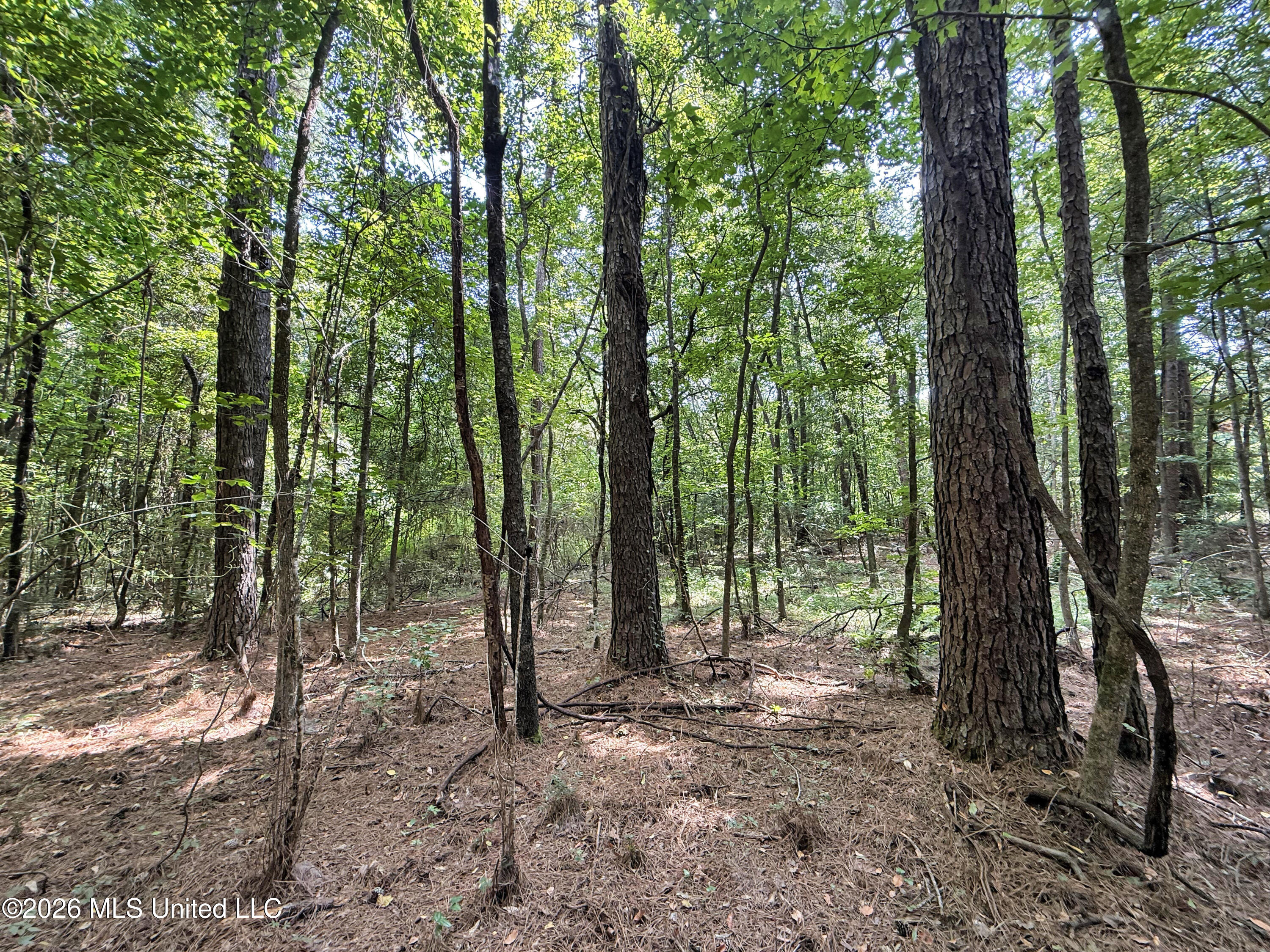 2435 Brignall Road Property Photo 16