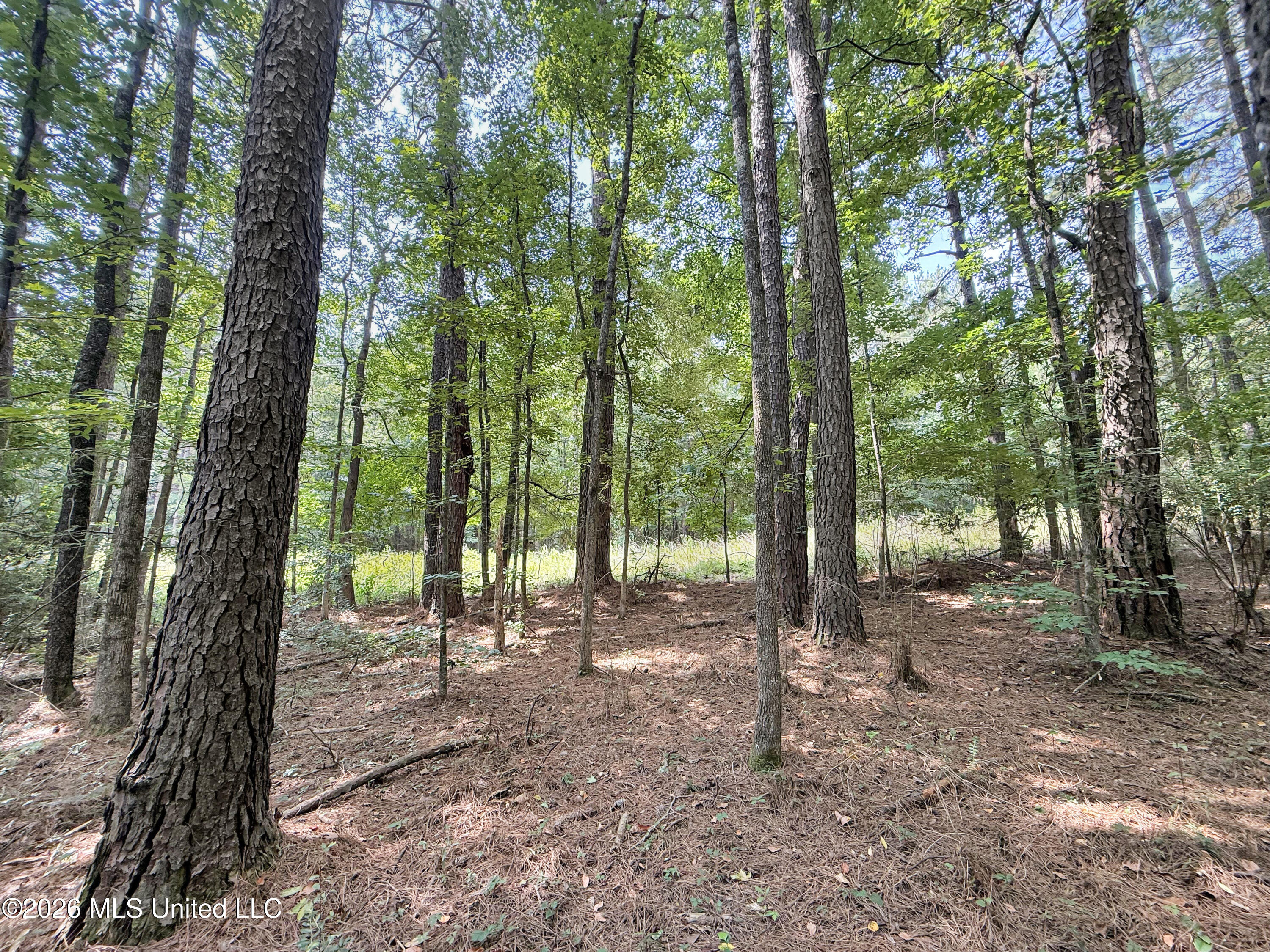 2435 Brignall Road Property Photo 17