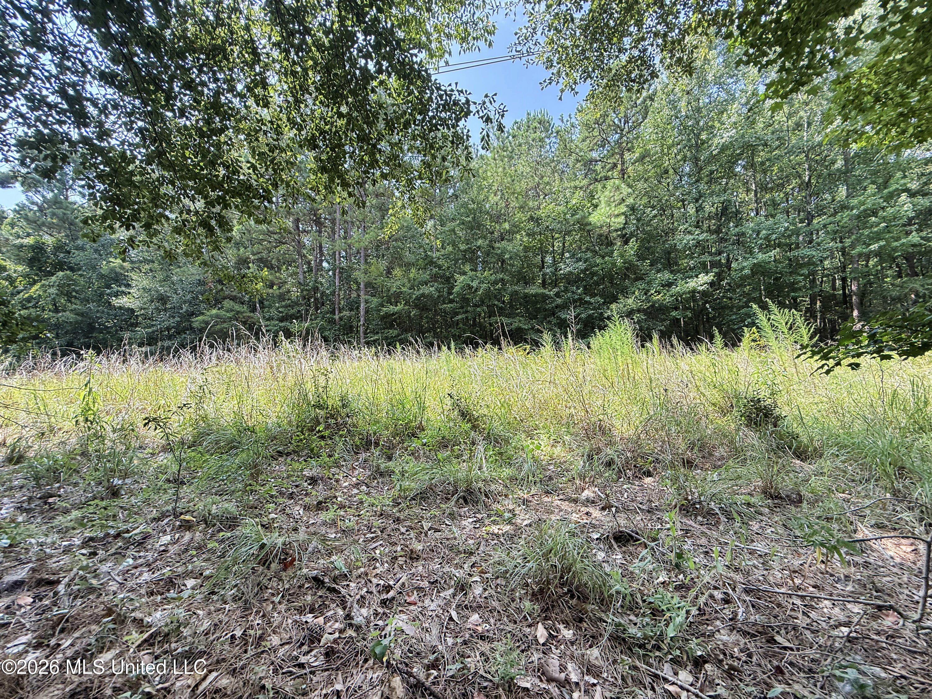 2435 Brignall Road Property Photo 18