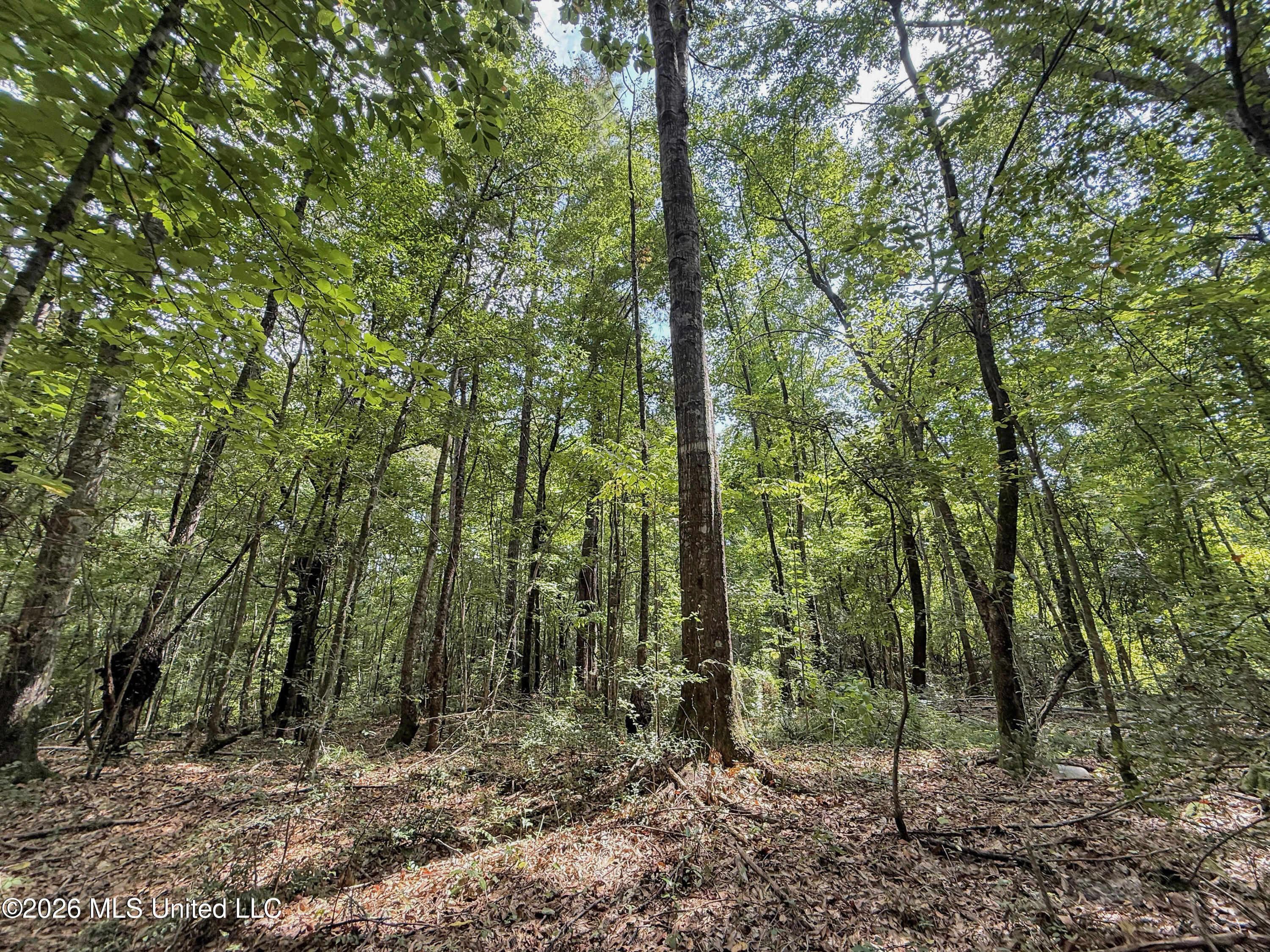 2435 Brignall Road Property Photo 19