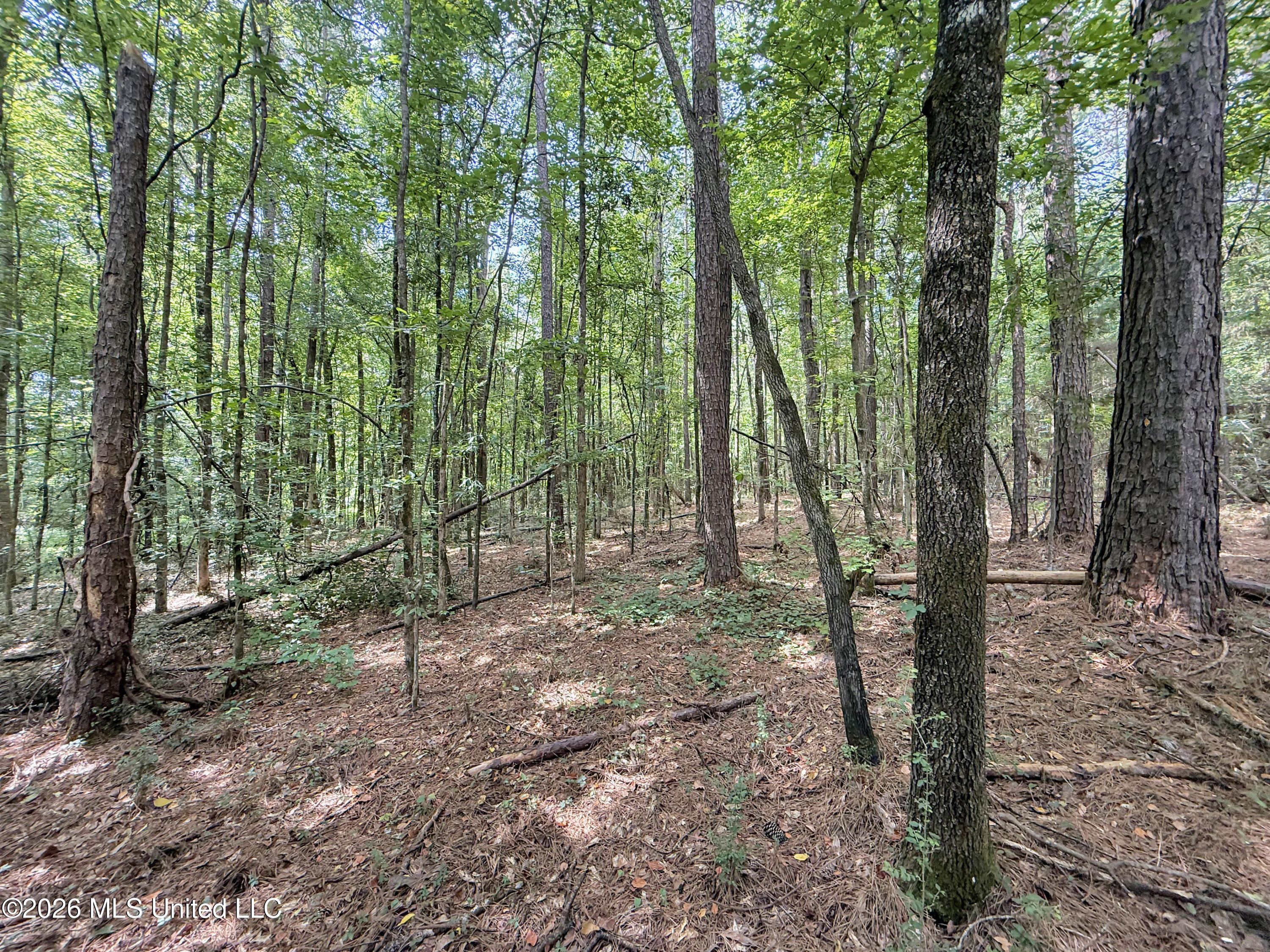 2435 Brignall Road Property Photo 20