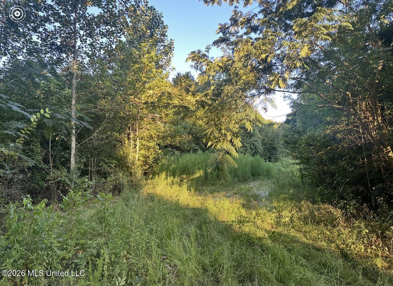 00 Midway Odom Rd Property Photo 4