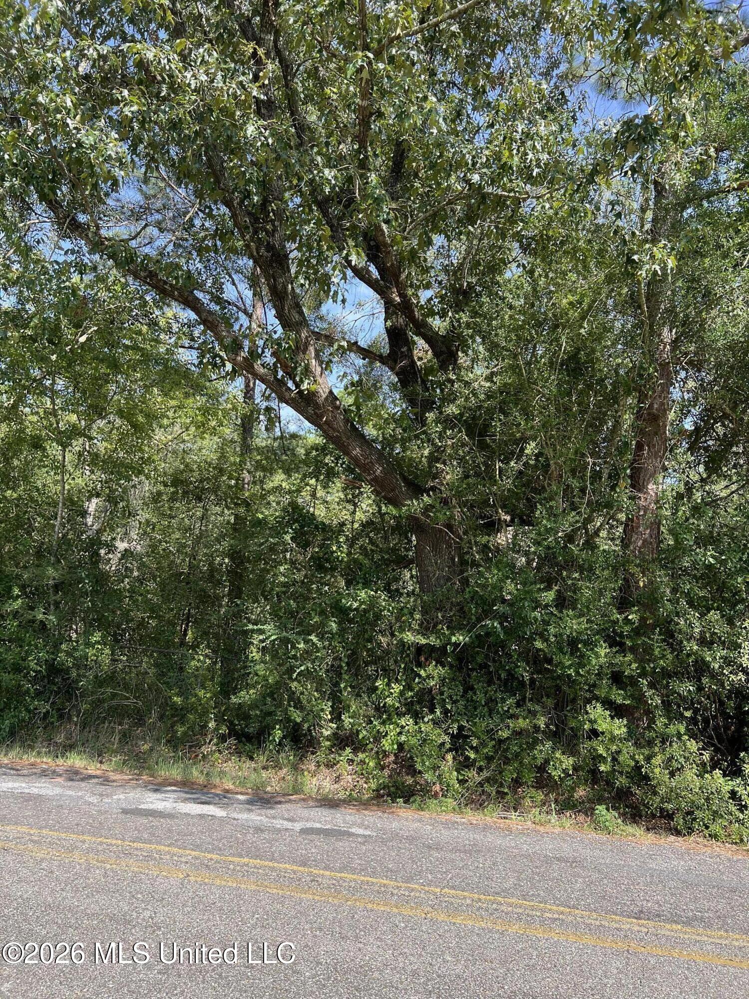 Mennonite Road Property Photo 2