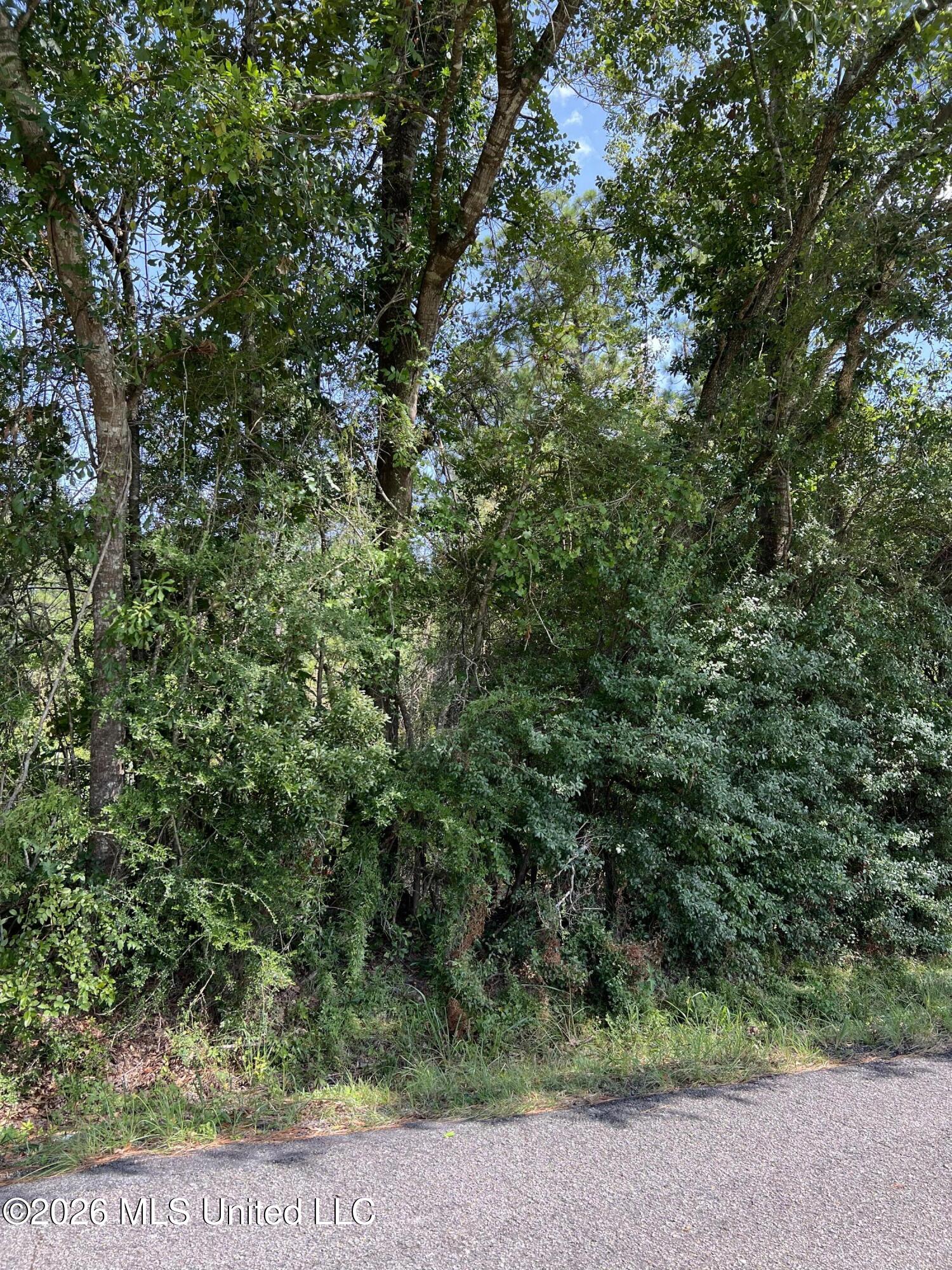 Mennonite Road Property Photo 3