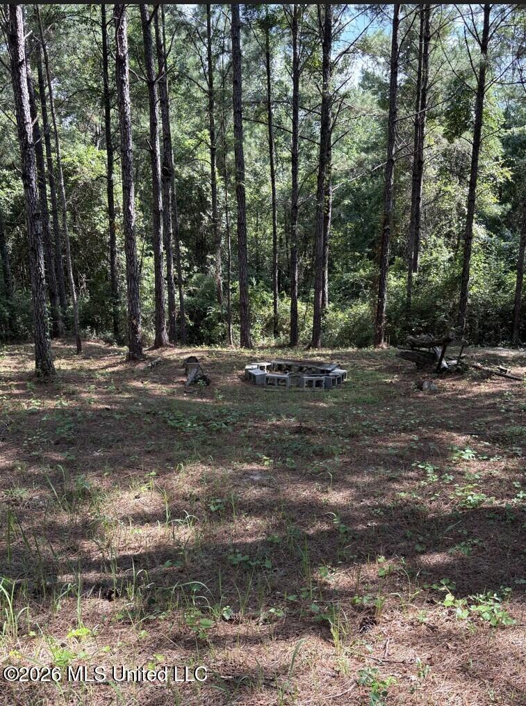 259 Forest Lake Road Property Photo 10