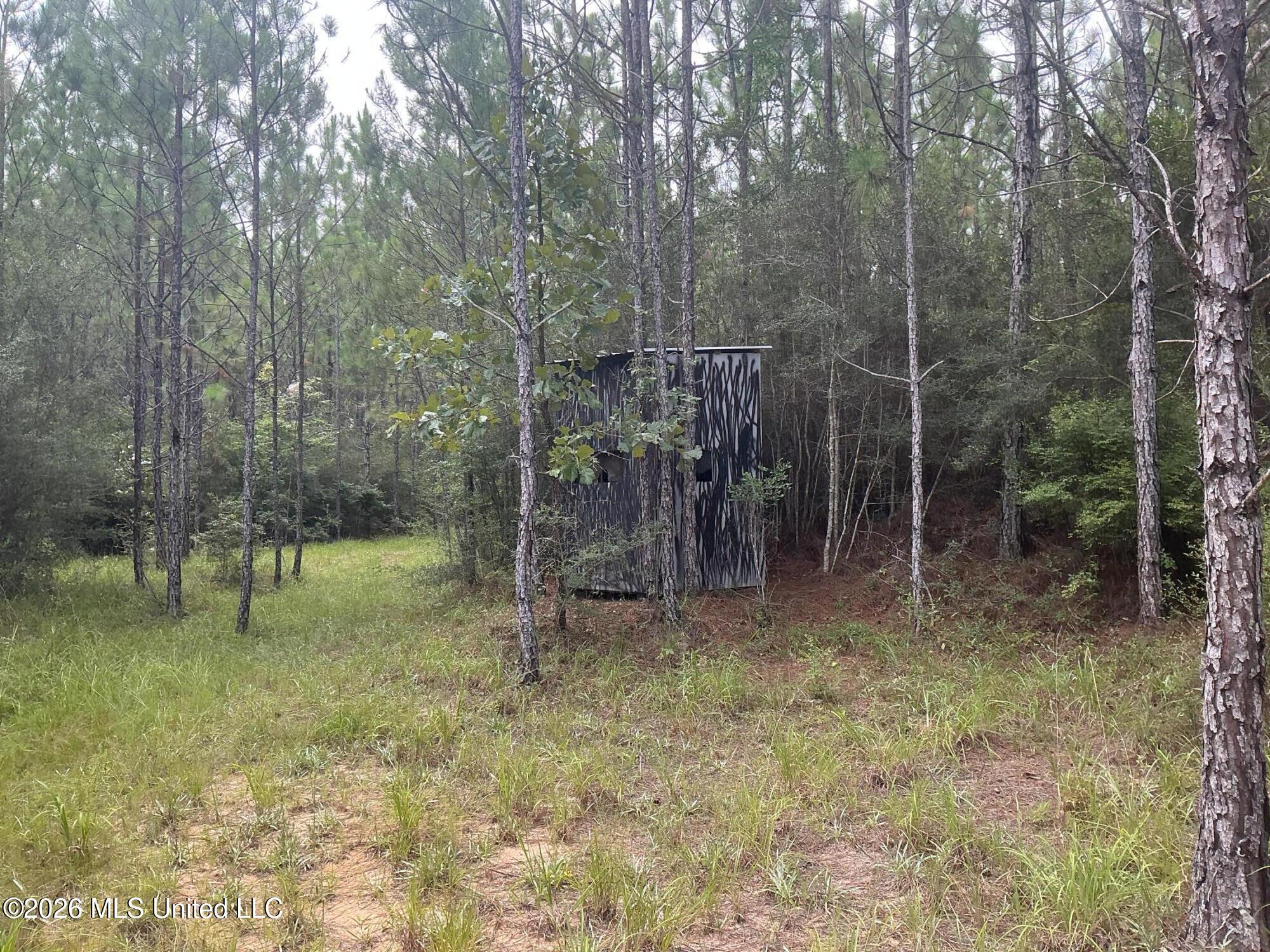 259 Forest Lake Road Property Photo 15