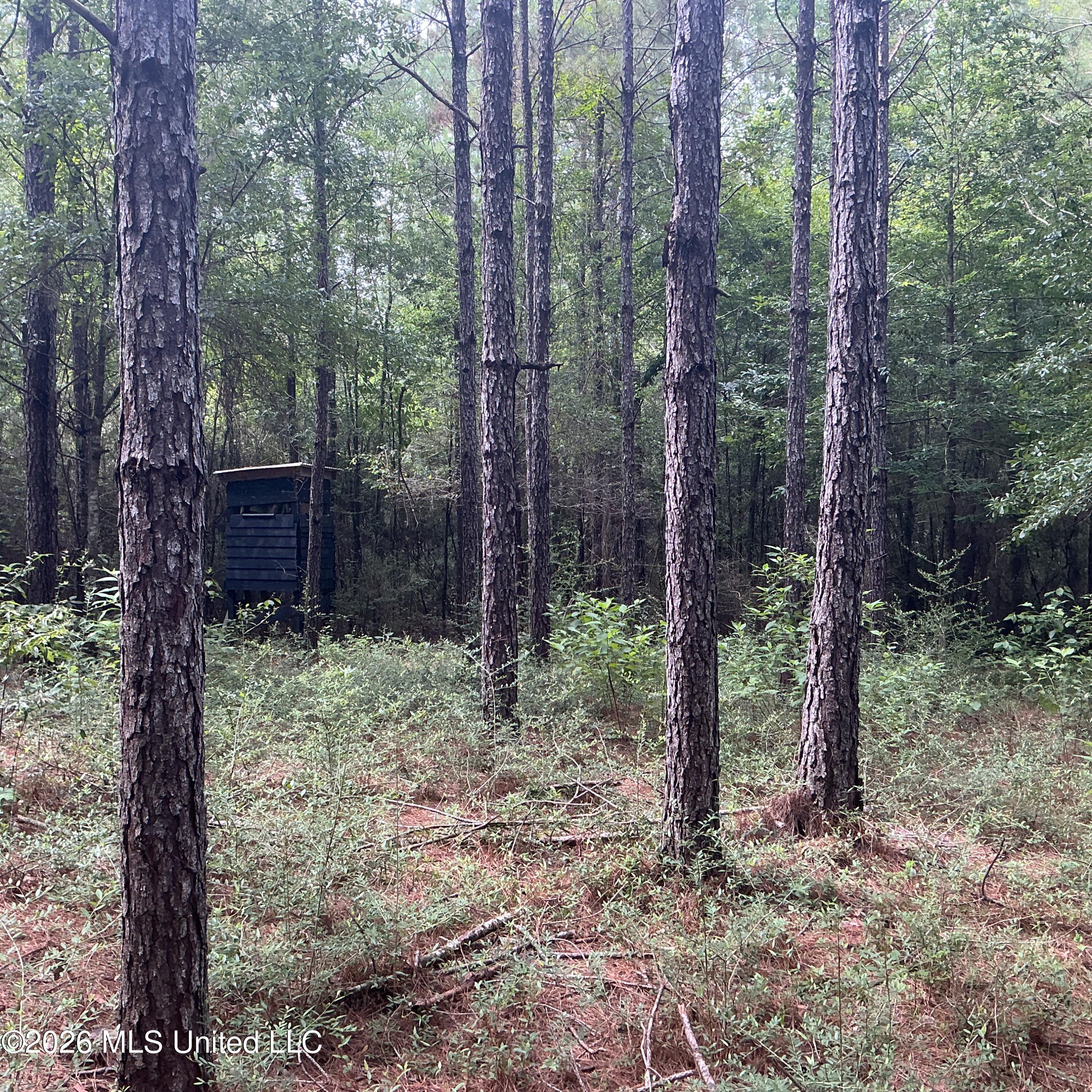 259 Forest Lake Road Property Photo 17