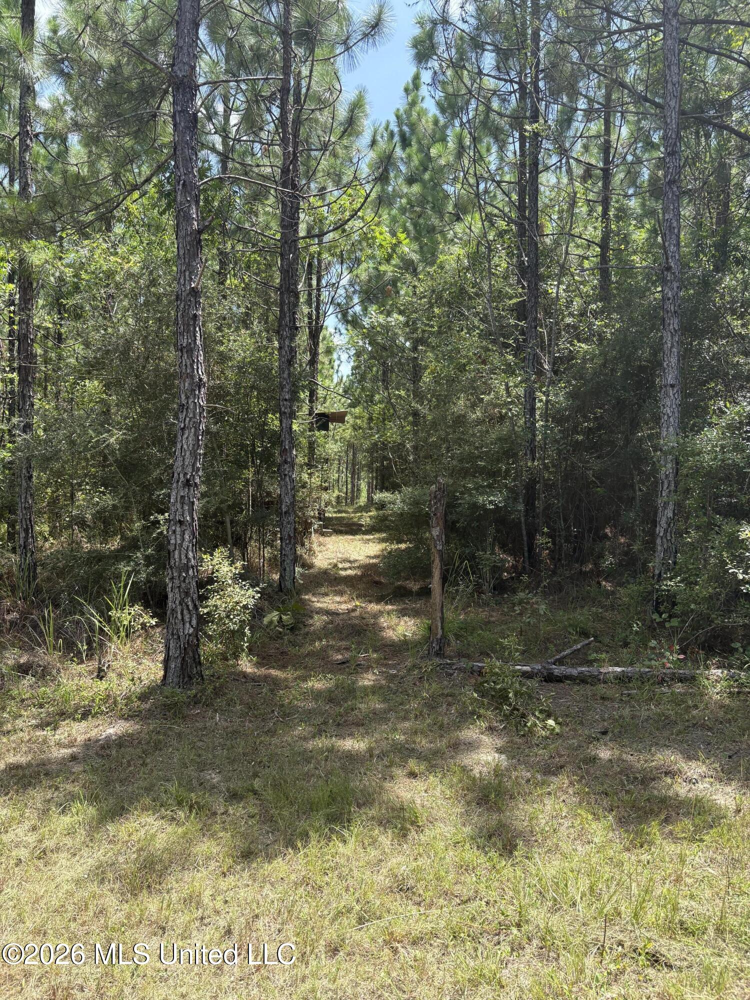 259 Forest Lake Road Property Photo 18