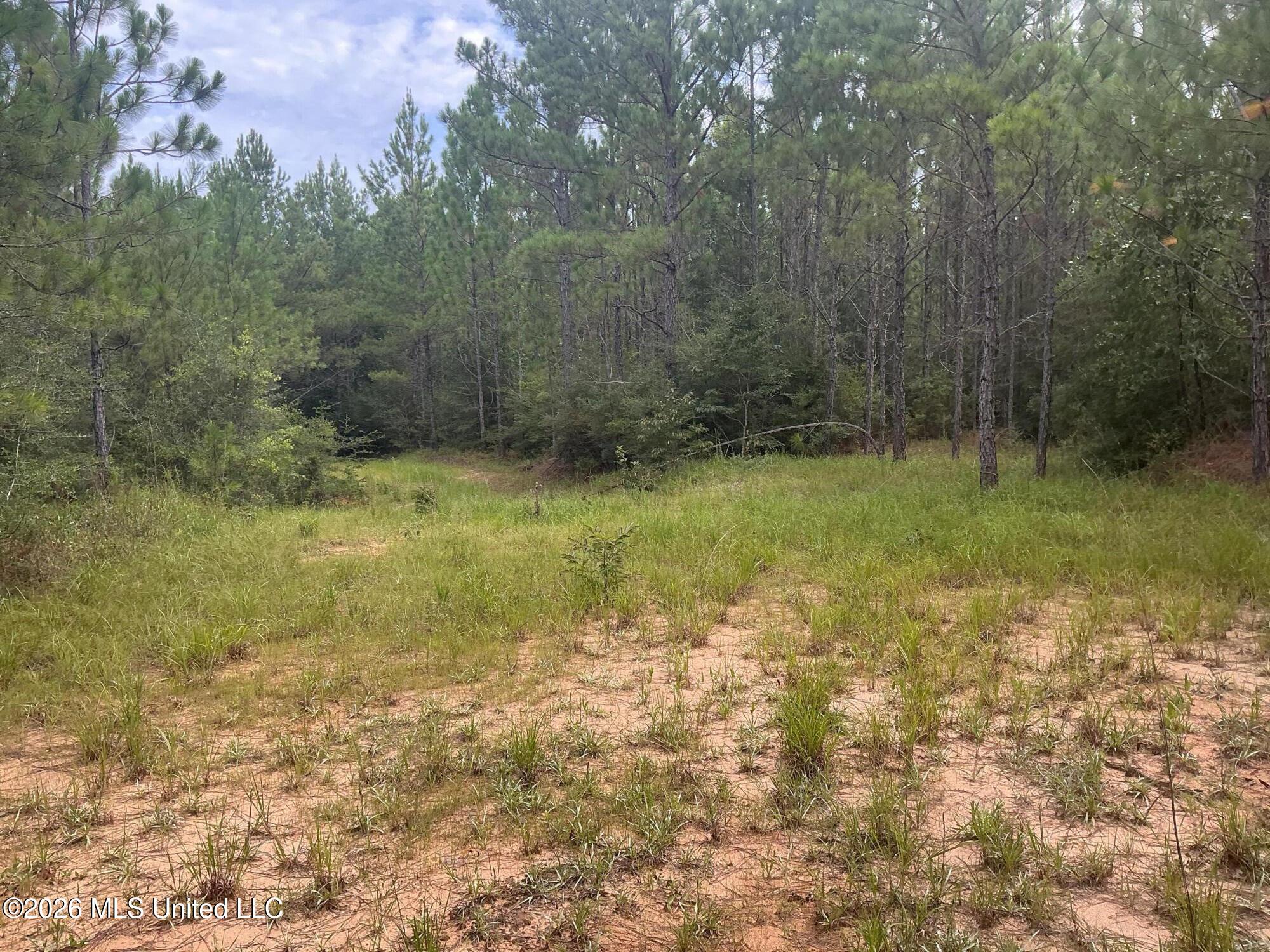 259 Forest Lake Road Property Photo 20
