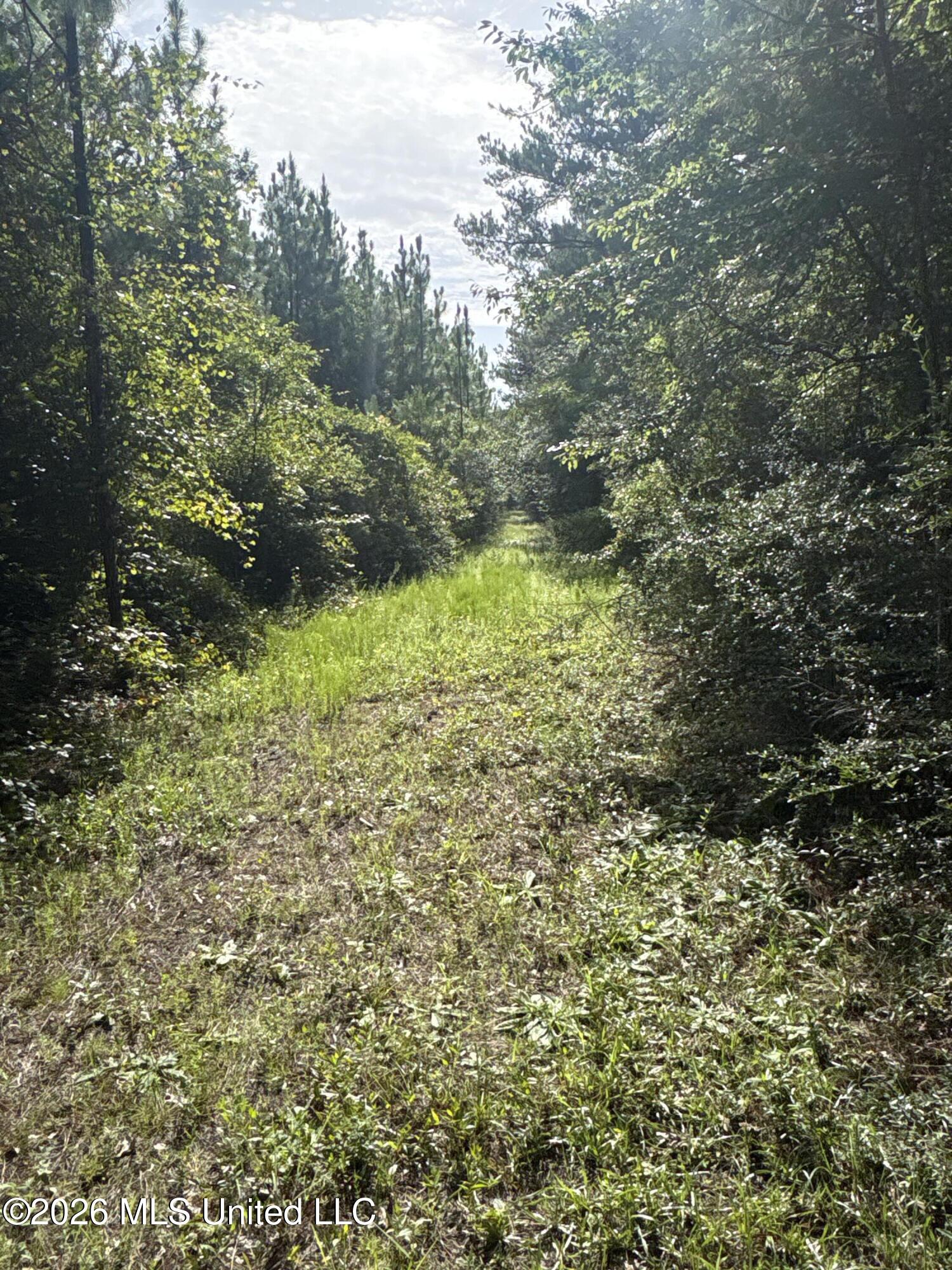 259 Forest Lake Road Property Photo 21