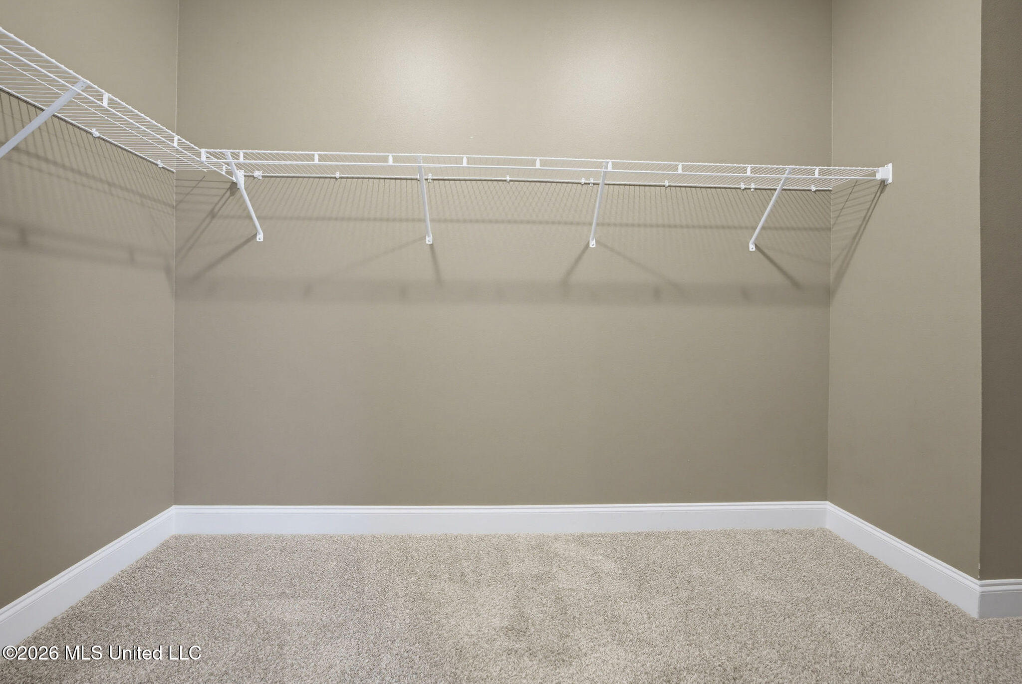 11585 Paige Cove Property Photo 31