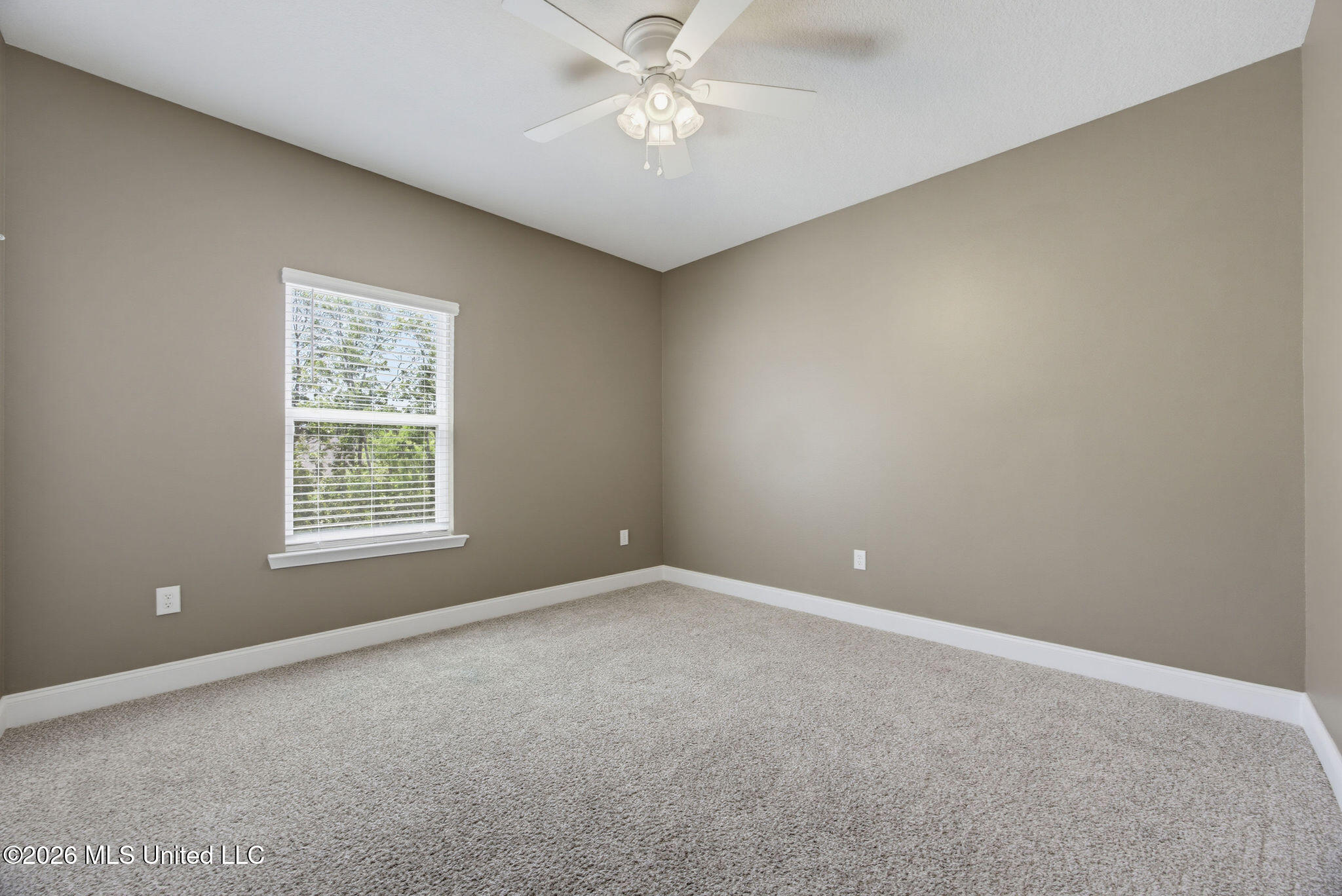 11585 Paige Cove Property Photo 35