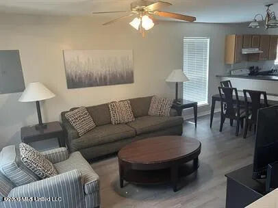 255 Benachi Avenue Property Photo 2