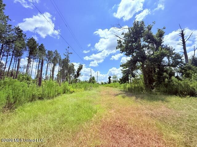 261 E Salem Road Property Photo 8
