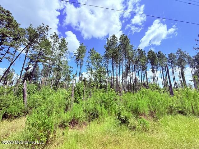 261 E Salem Road Property Photo 9