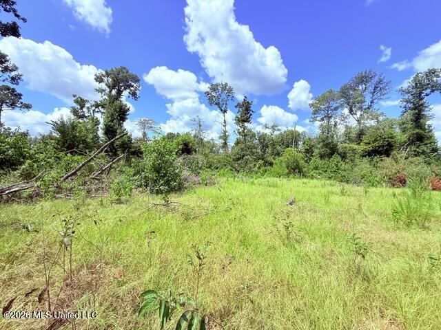 261 E Salem Road Property Photo 10