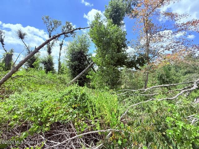 261 E Salem Road Property Photo 12