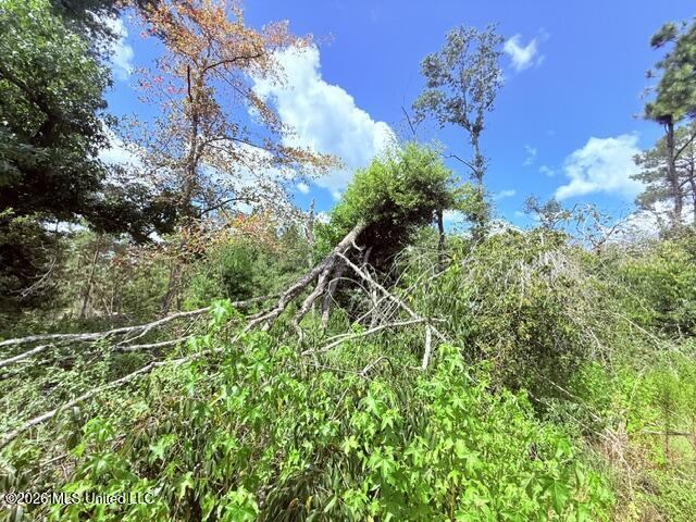 261 E Salem Road Property Photo 13