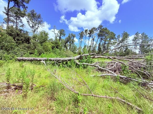 261 E Salem Road Property Photo 14