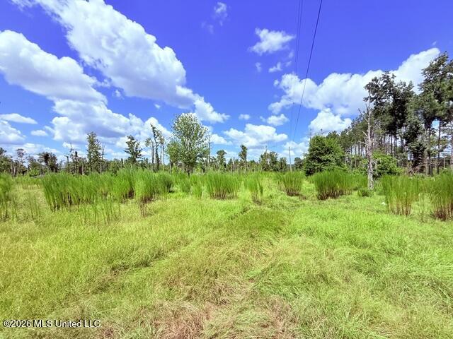 261 E Salem Road Property Photo 16