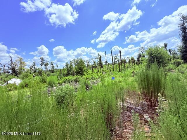 261 E Salem Road Property Photo 17