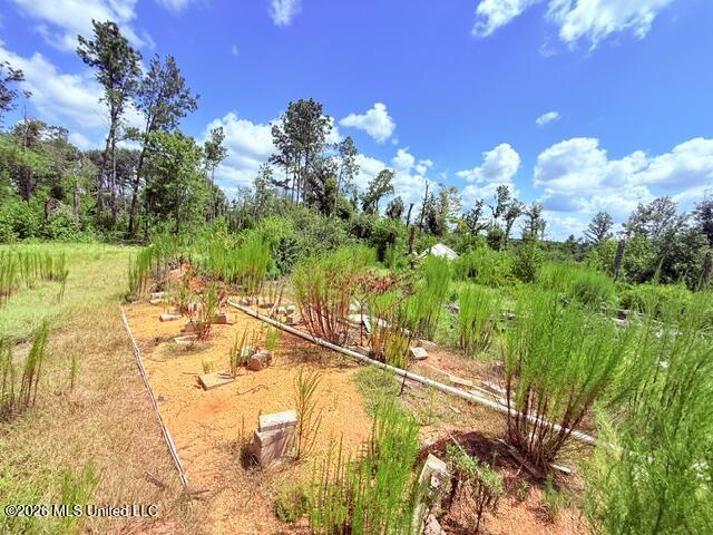 261 E Salem Road Property Photo 19