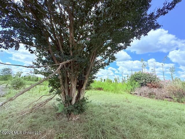 261 E Salem Road Property Photo 23