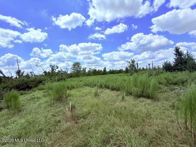 261 E Salem Road Property Photo 26