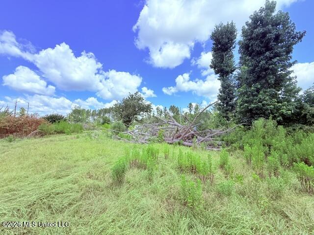 261 E Salem Road Property Photo 28