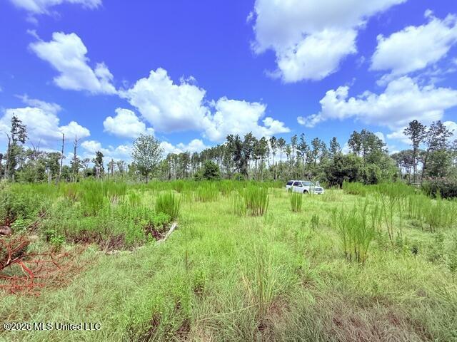 261 E Salem Road Property Photo 29