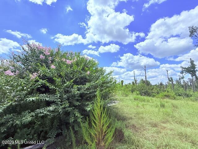261 E Salem Road Property Photo 31