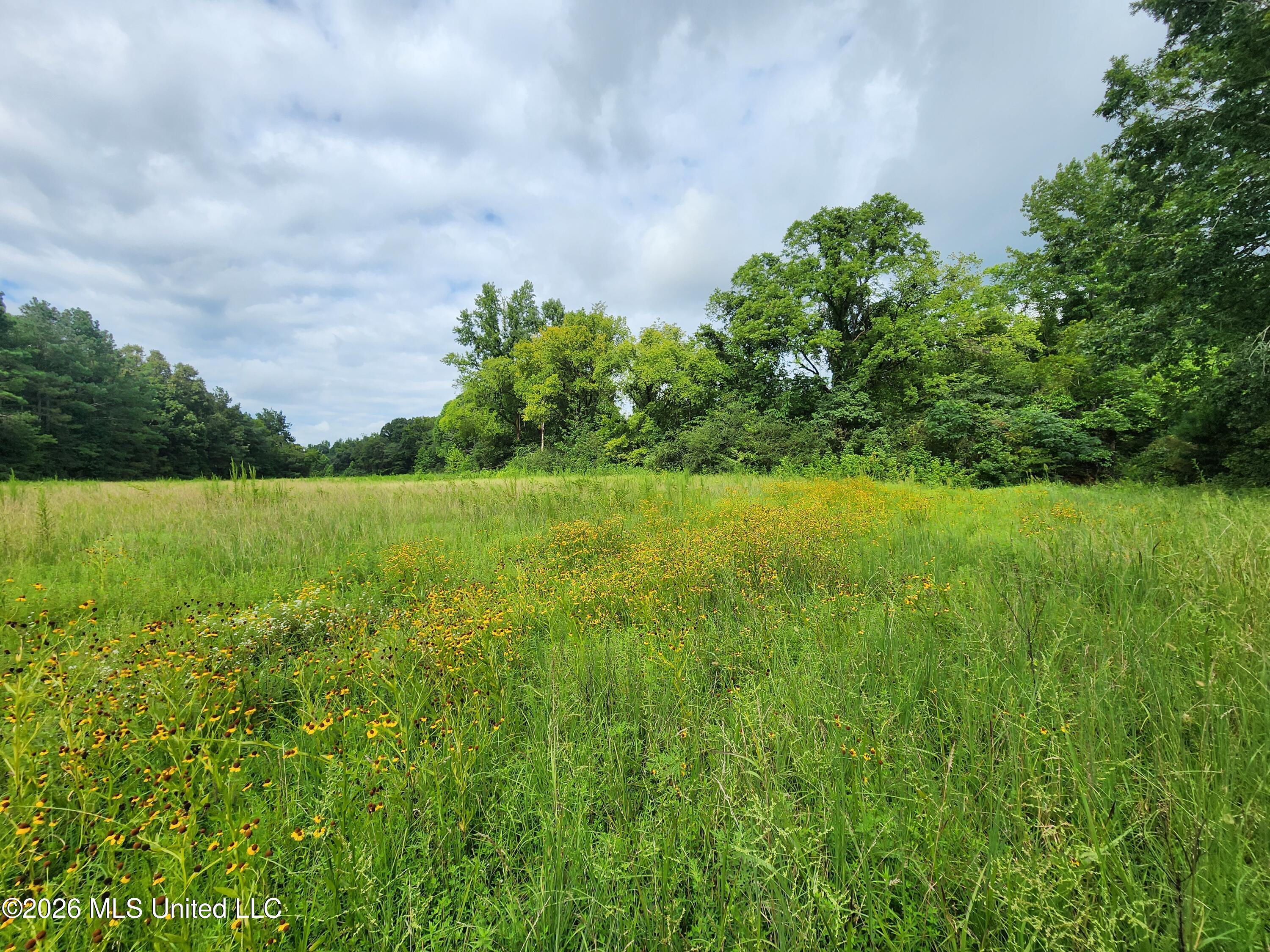 Old Hwy 7 Property Photo 4