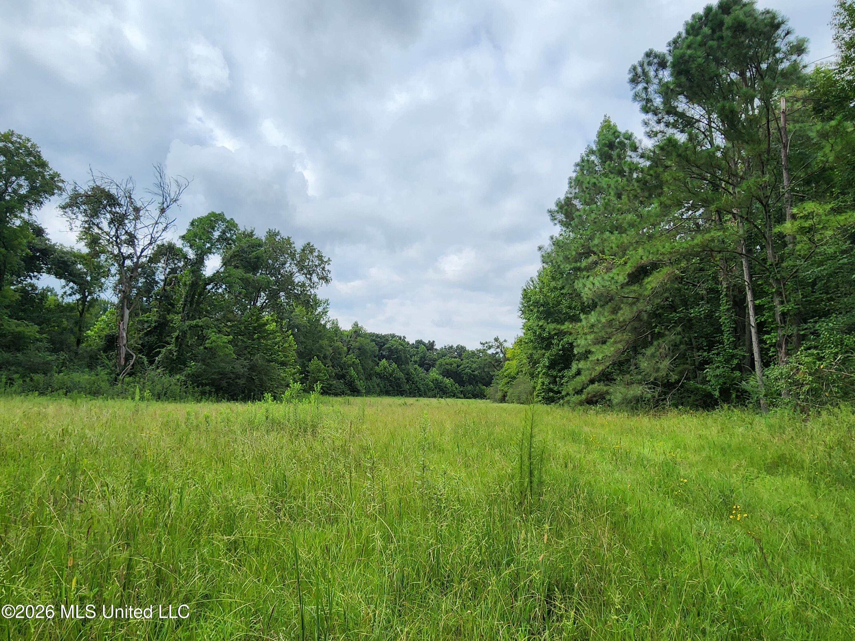 Old Hwy 7 Property Photo 5