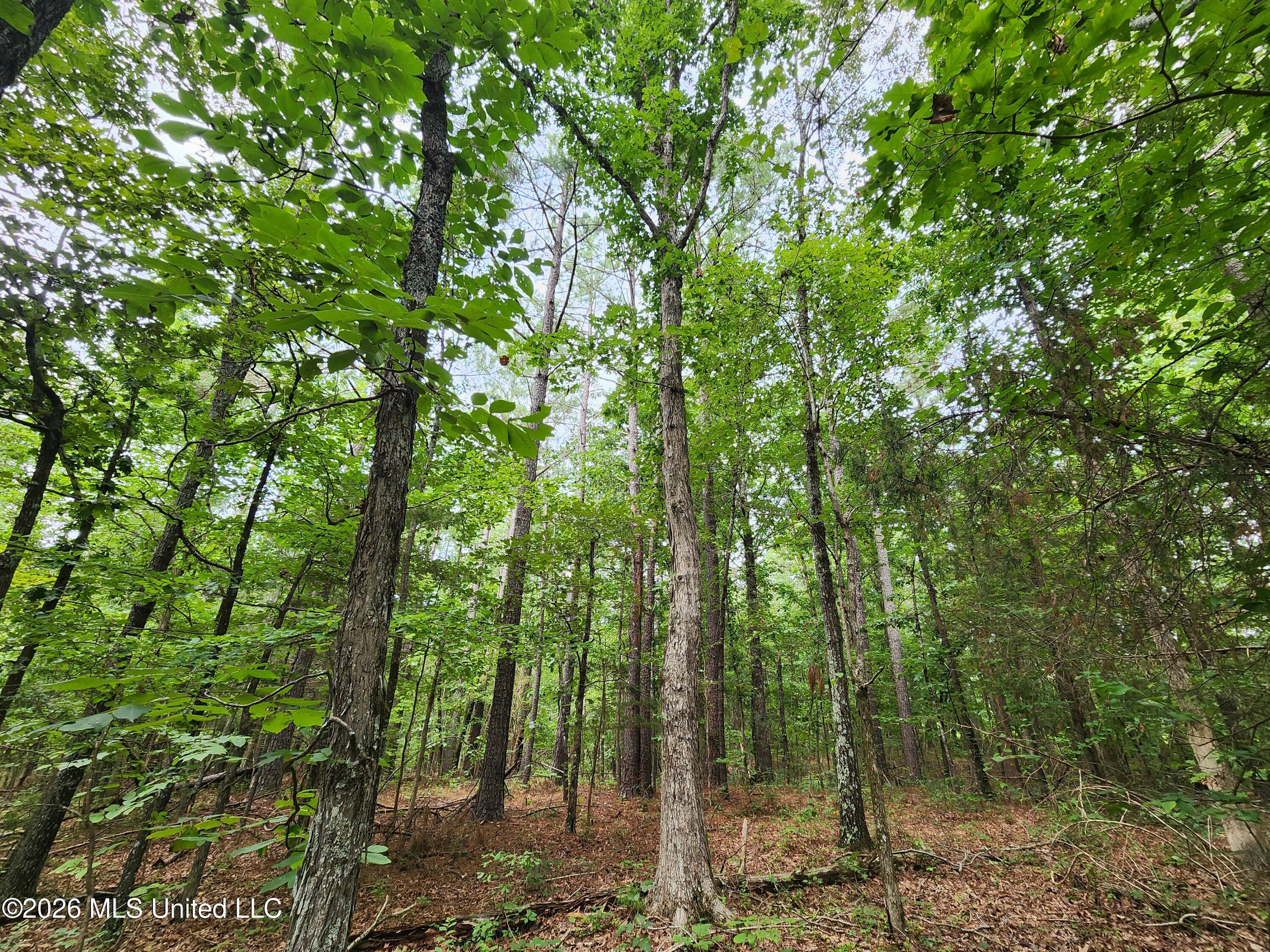 Old Hwy 7 Property Photo 6