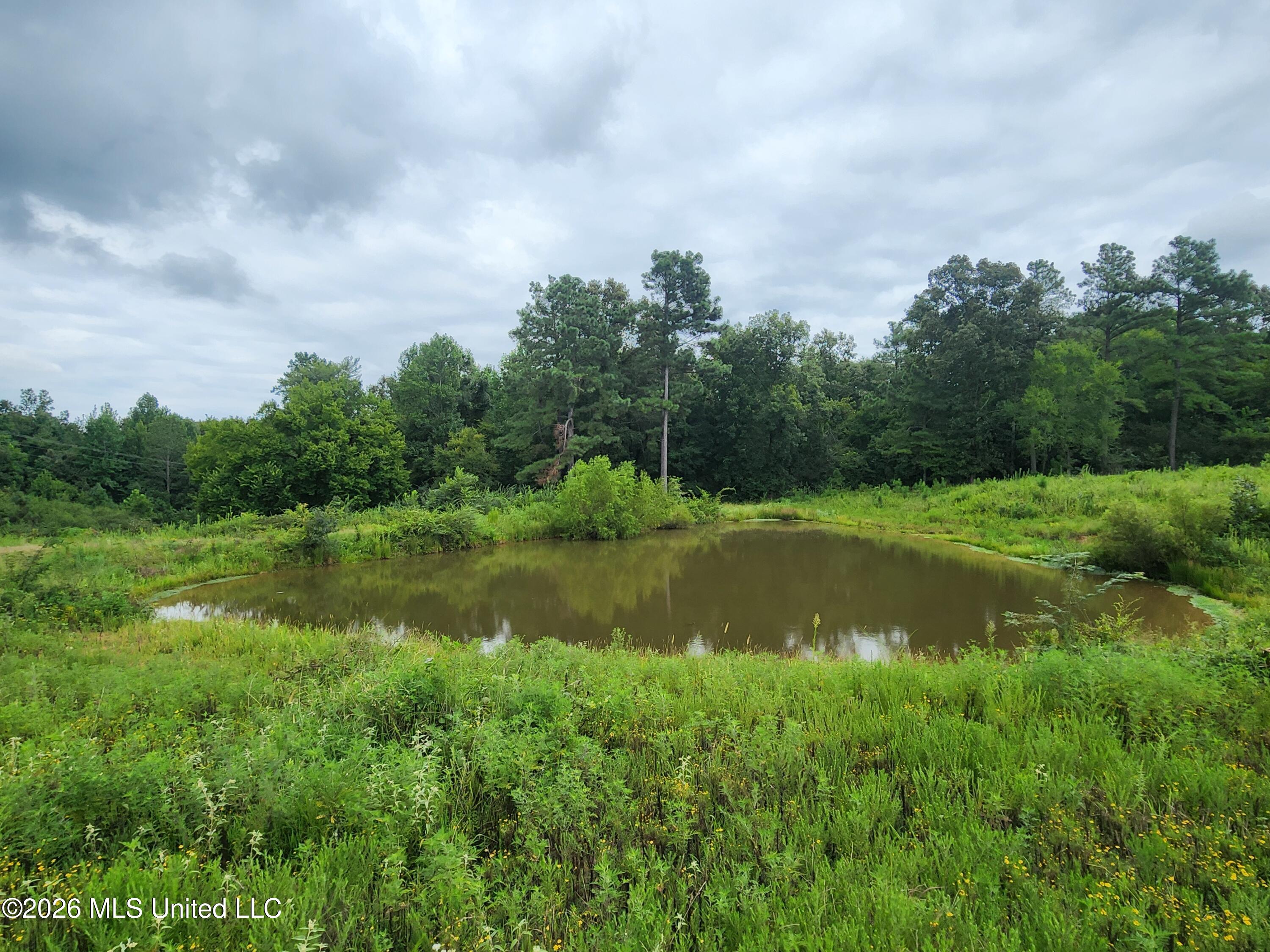Old Hwy 7 Property Photo 11