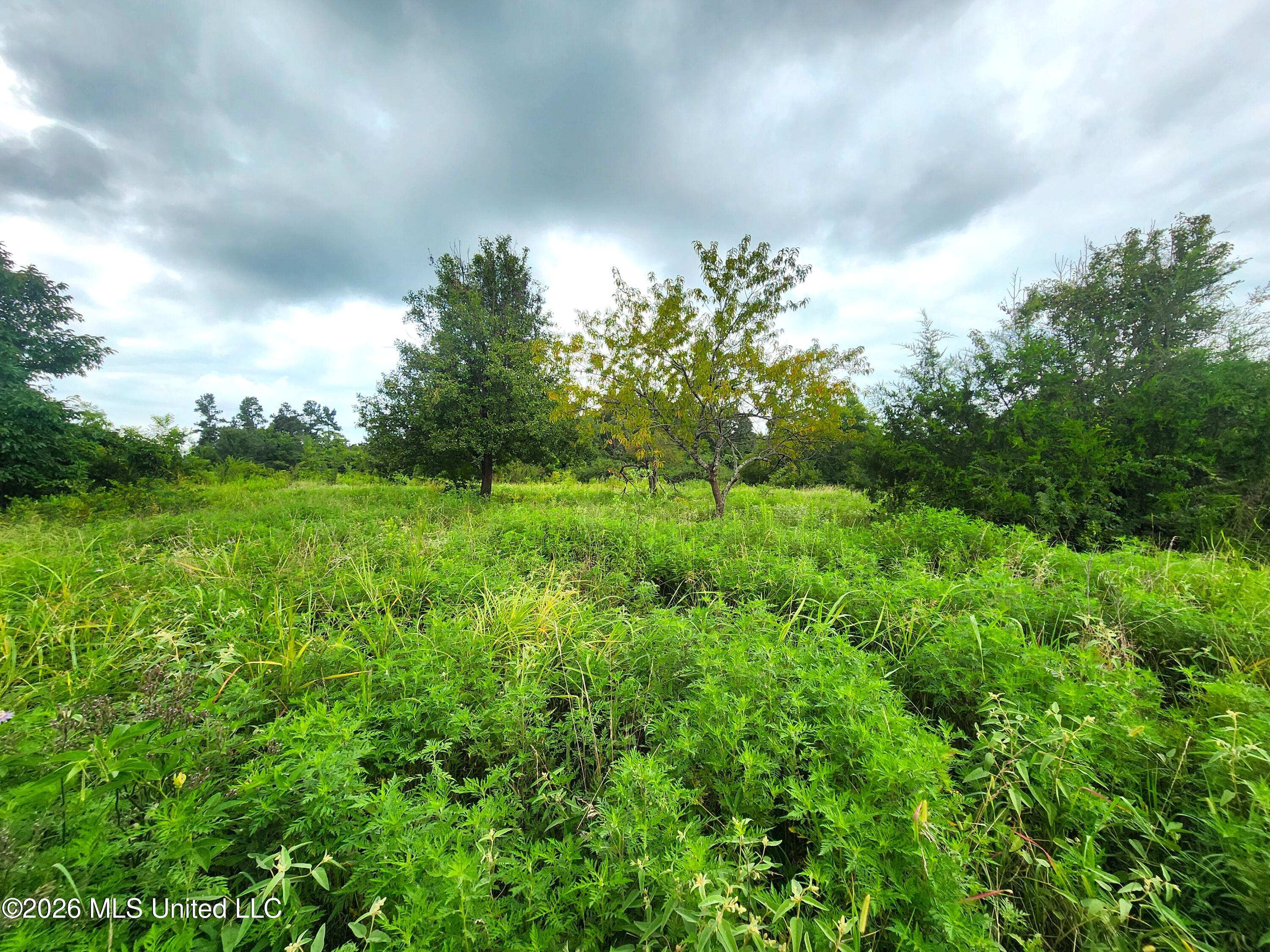 Old Hwy 7 Property Photo 12