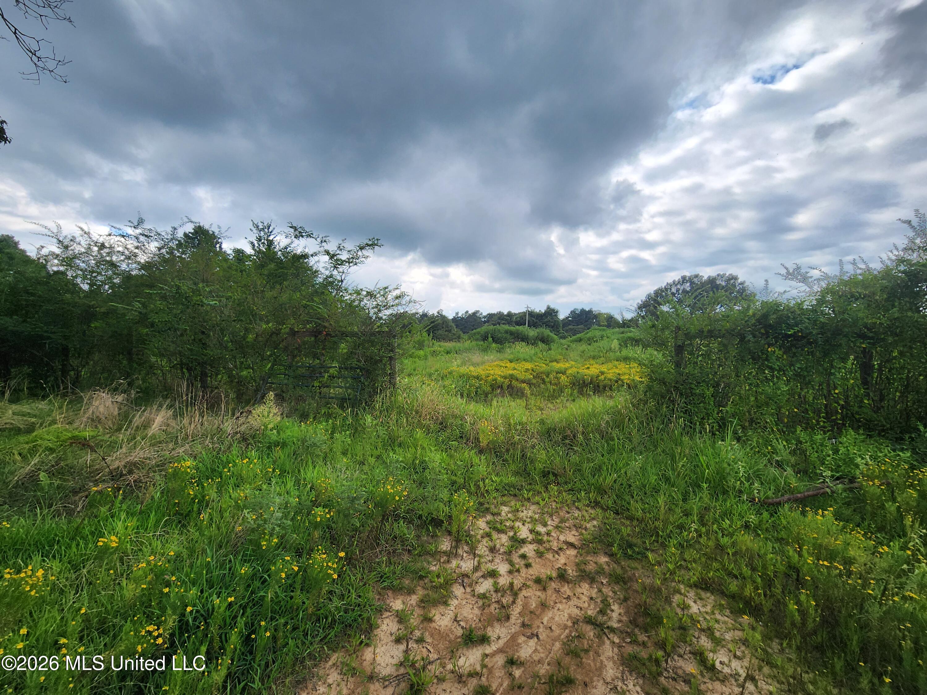Old Hwy 7 Property Photo 14