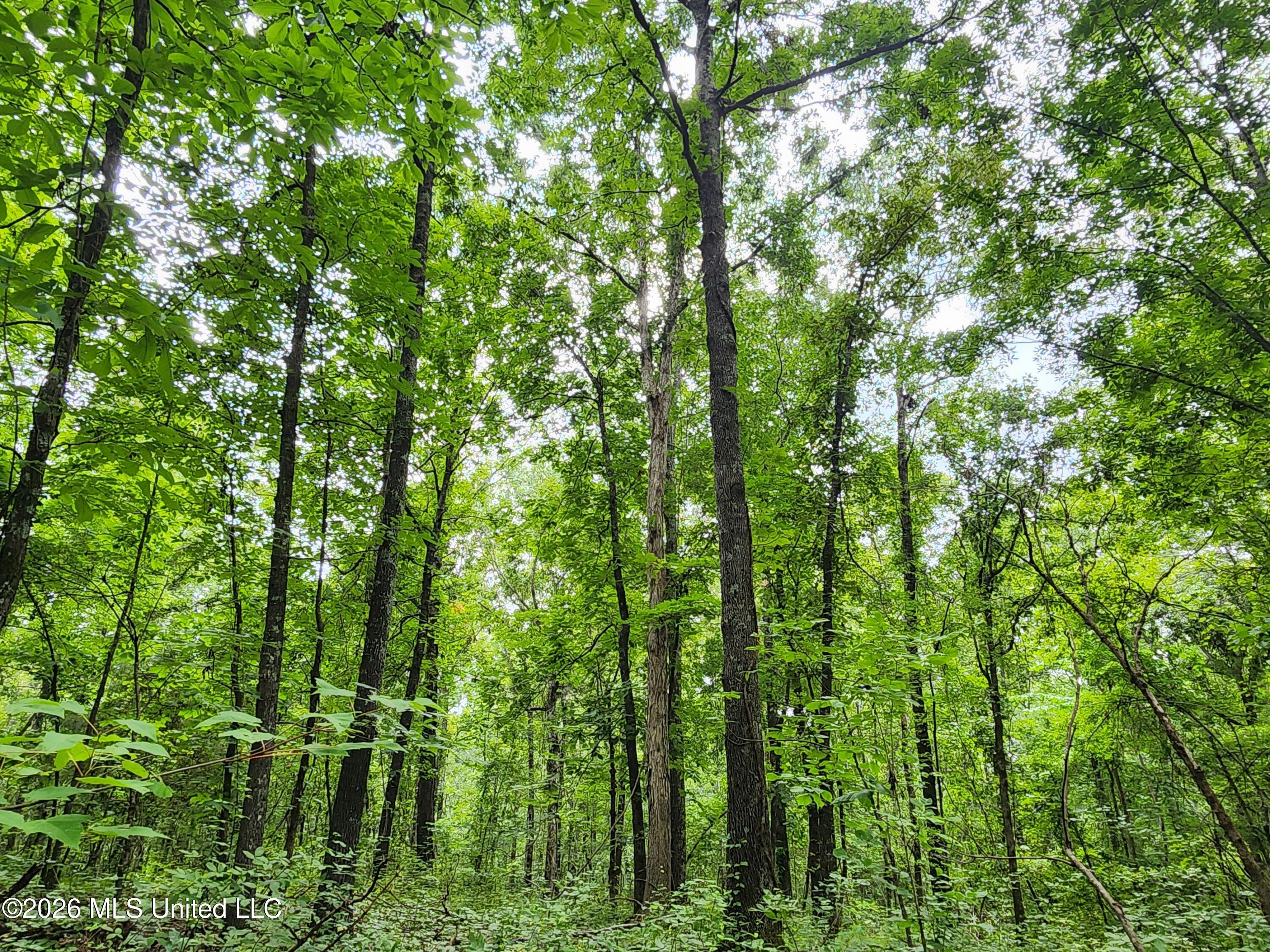 Old Hwy 7 Property Photo 18