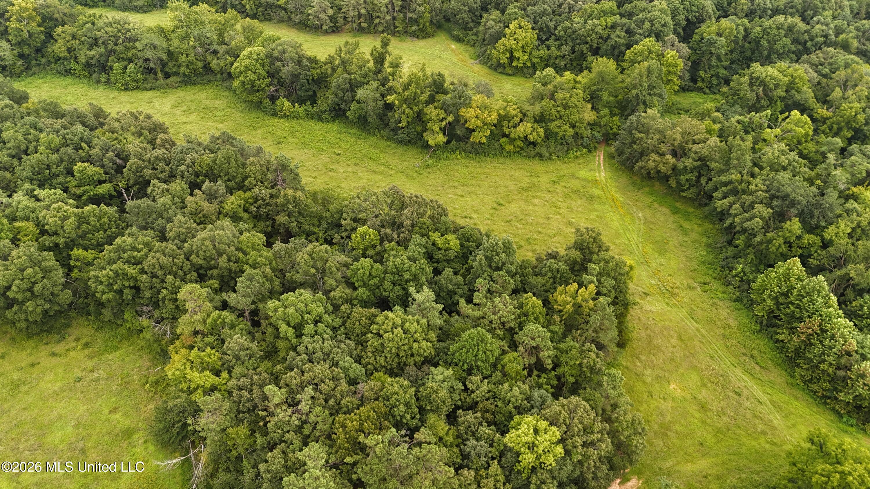 Old Hwy 7 Property Photo 22