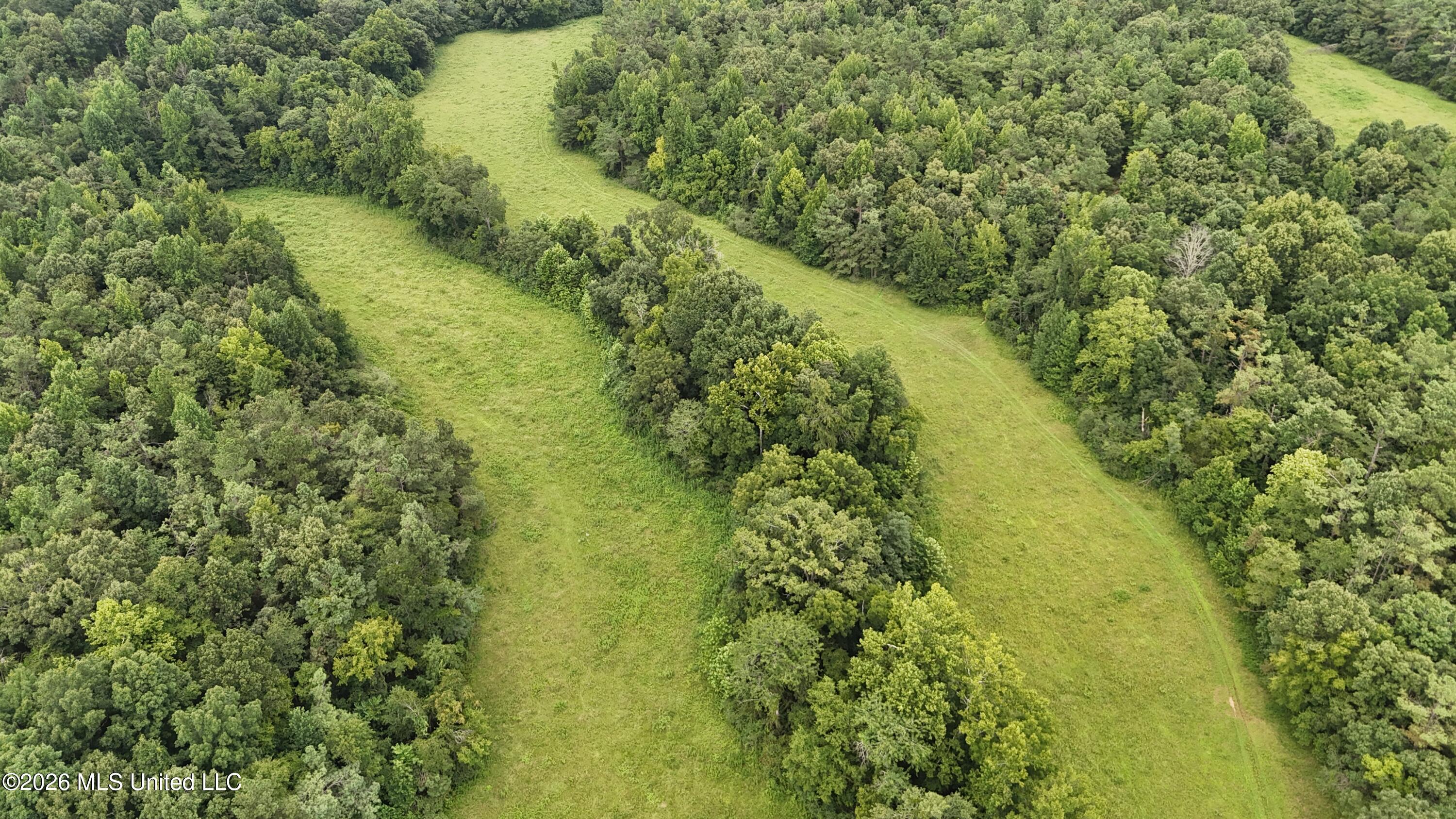 Old Hwy 7 Property Photo 23