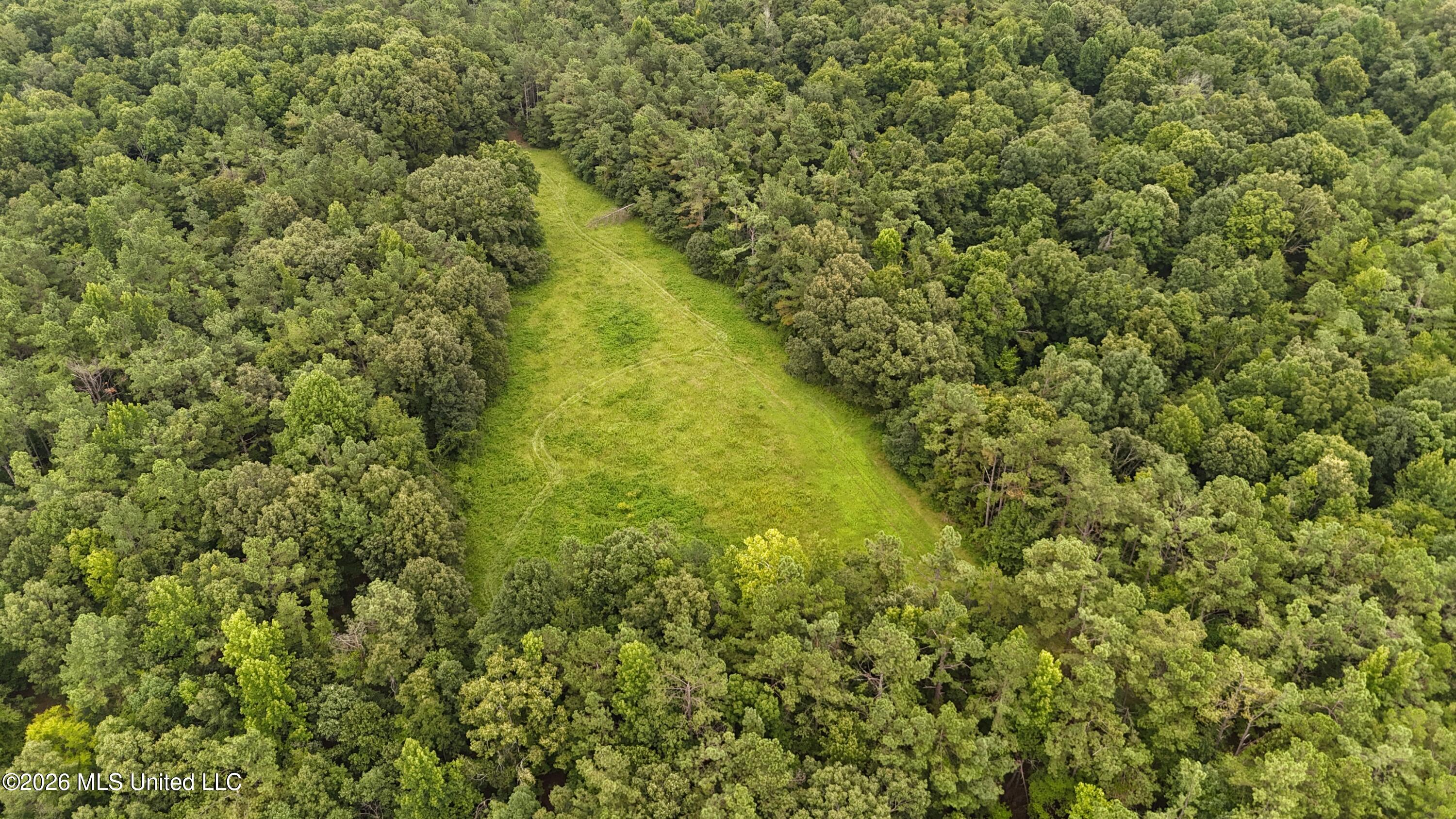 Old Hwy 7 Property Photo 24
